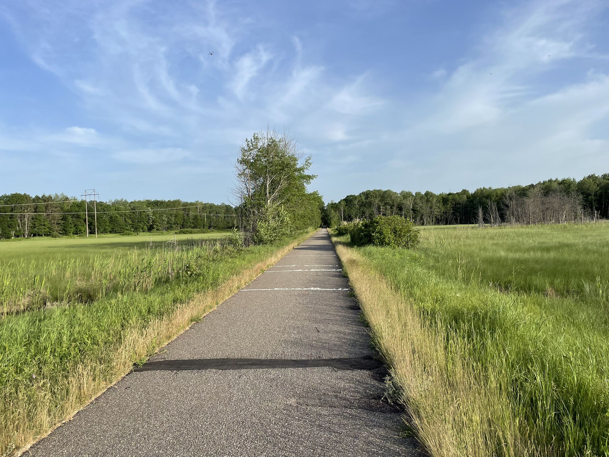 Paved path through green fields and trees under a partly cloudy sky. - Nisswa Gazebo and City Hall – Paul Bunyan Trail, Nisswa loop from Merrifield