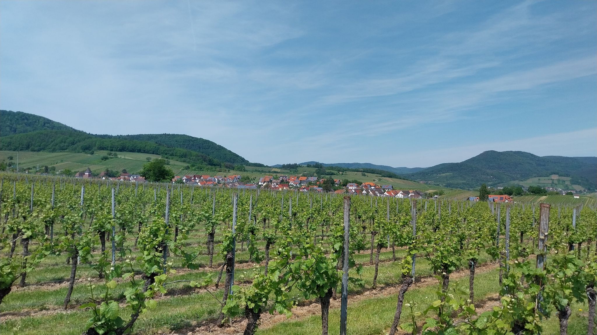 Ranschbach