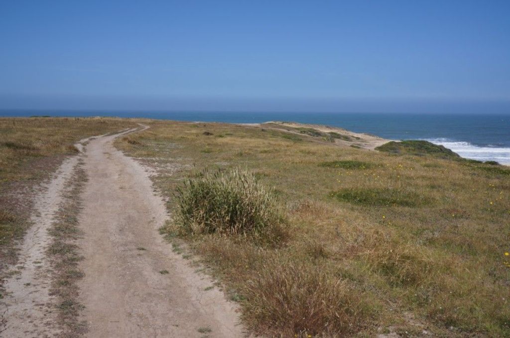 A dirt path winds through dry coastal grass under a bright blue sky. - California Coastal Trail Loop