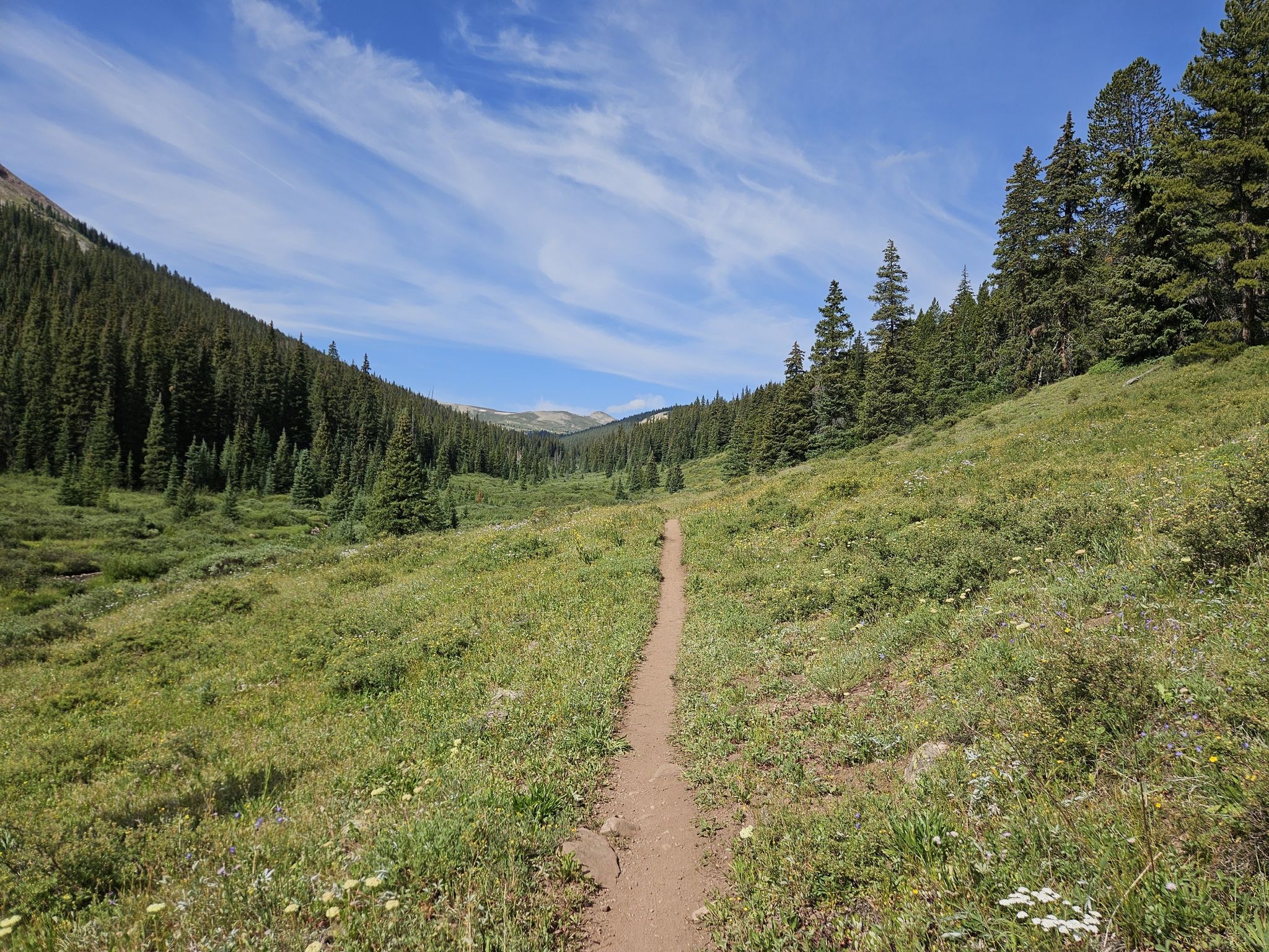 A narrow dirt trail through a wide green valley flanked by dense pine forests. - Janet's Cabin via Guller Creek Trail