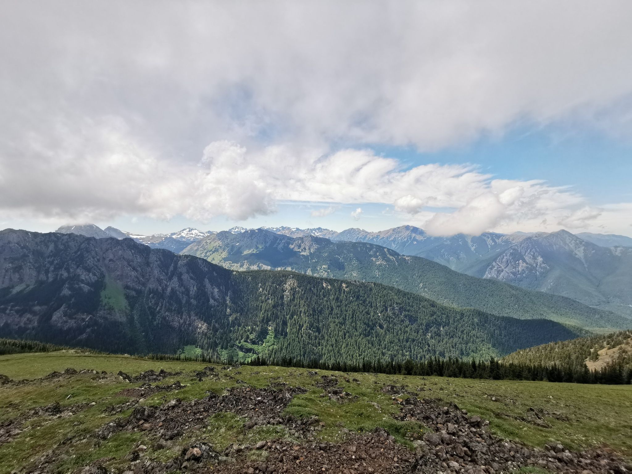 Expansive mountain range under a cloudy sky with green forested slopes. - Mount Townsend via Little Quilcene Trail