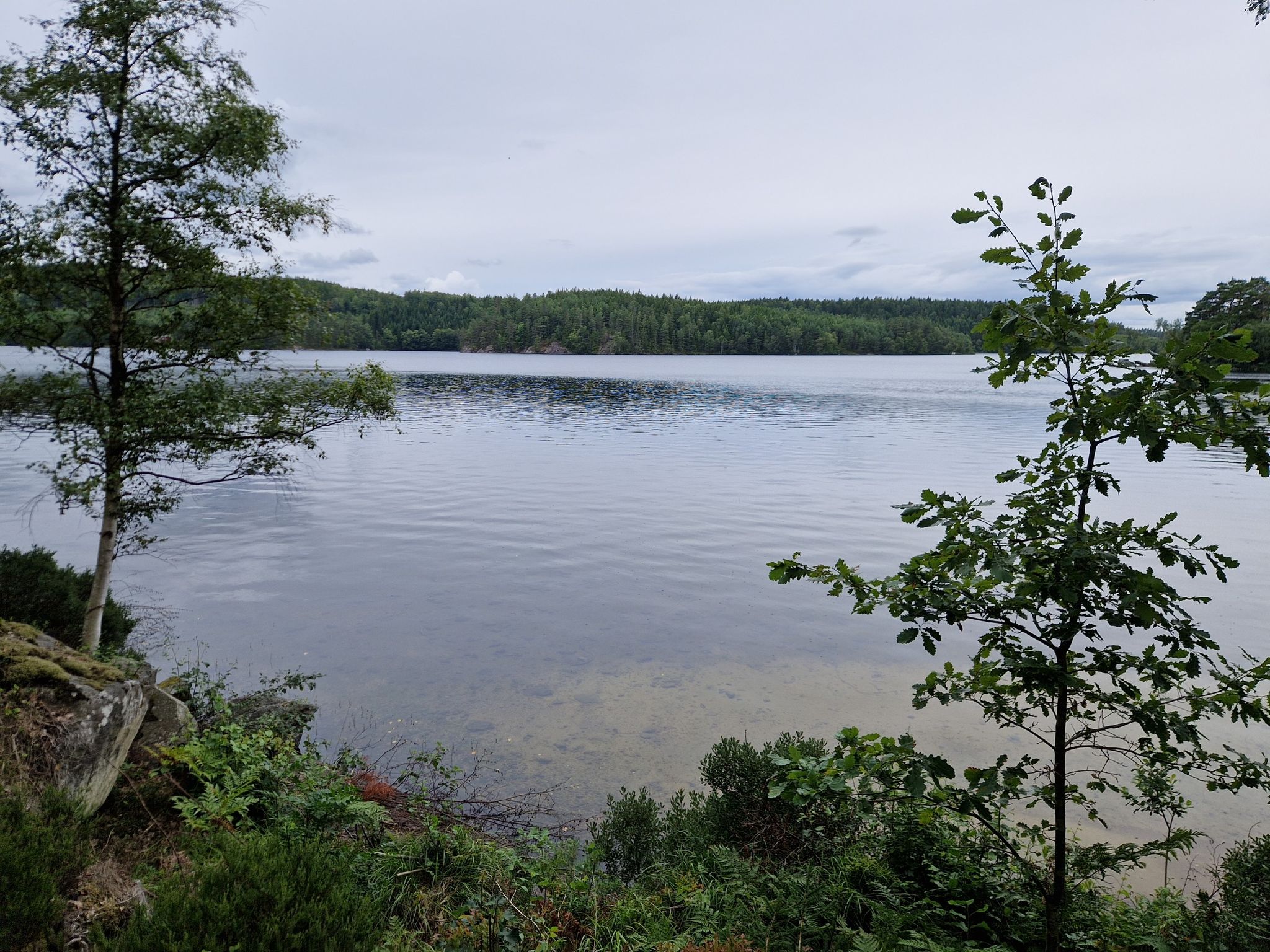 Lake Tvärsjön