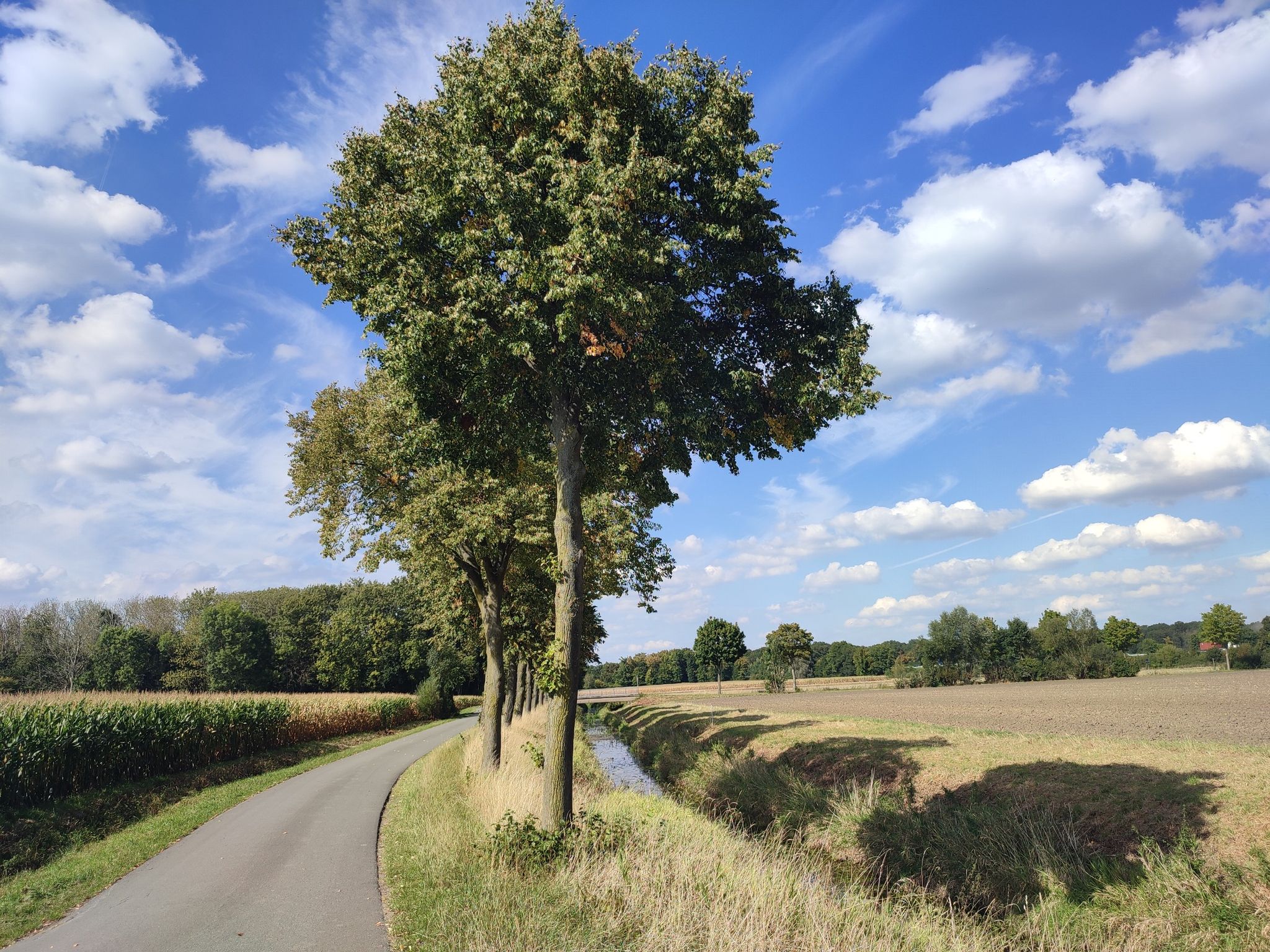 Emmerbach