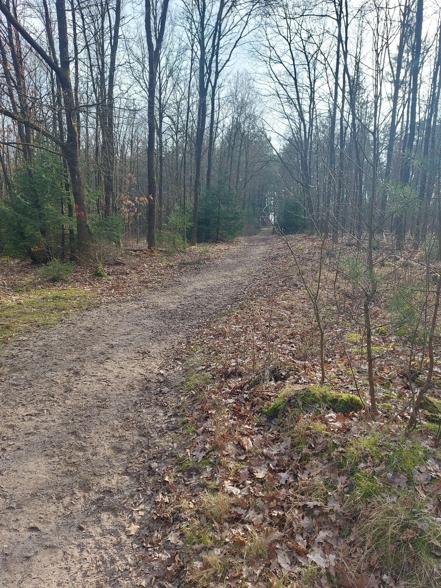 dieser Weg ist einfacher
