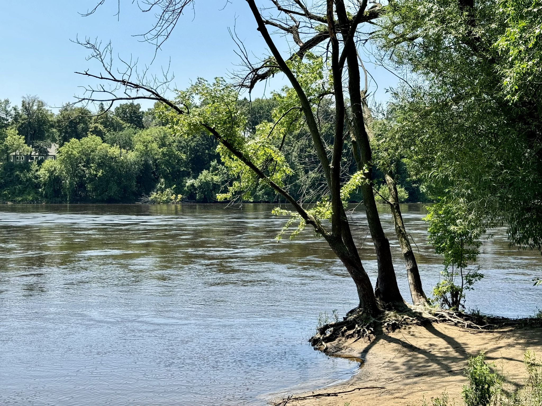 Sunny view of a wide river with trees on a sandy bank. - Coon Rapids Dam – Coon Rapids Dam loop from Columbia Heights