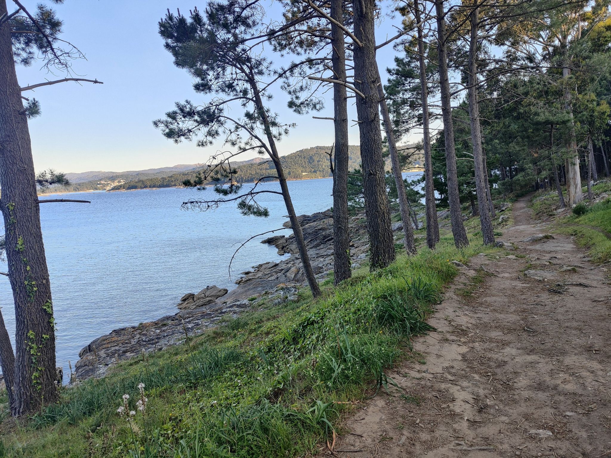 portosin