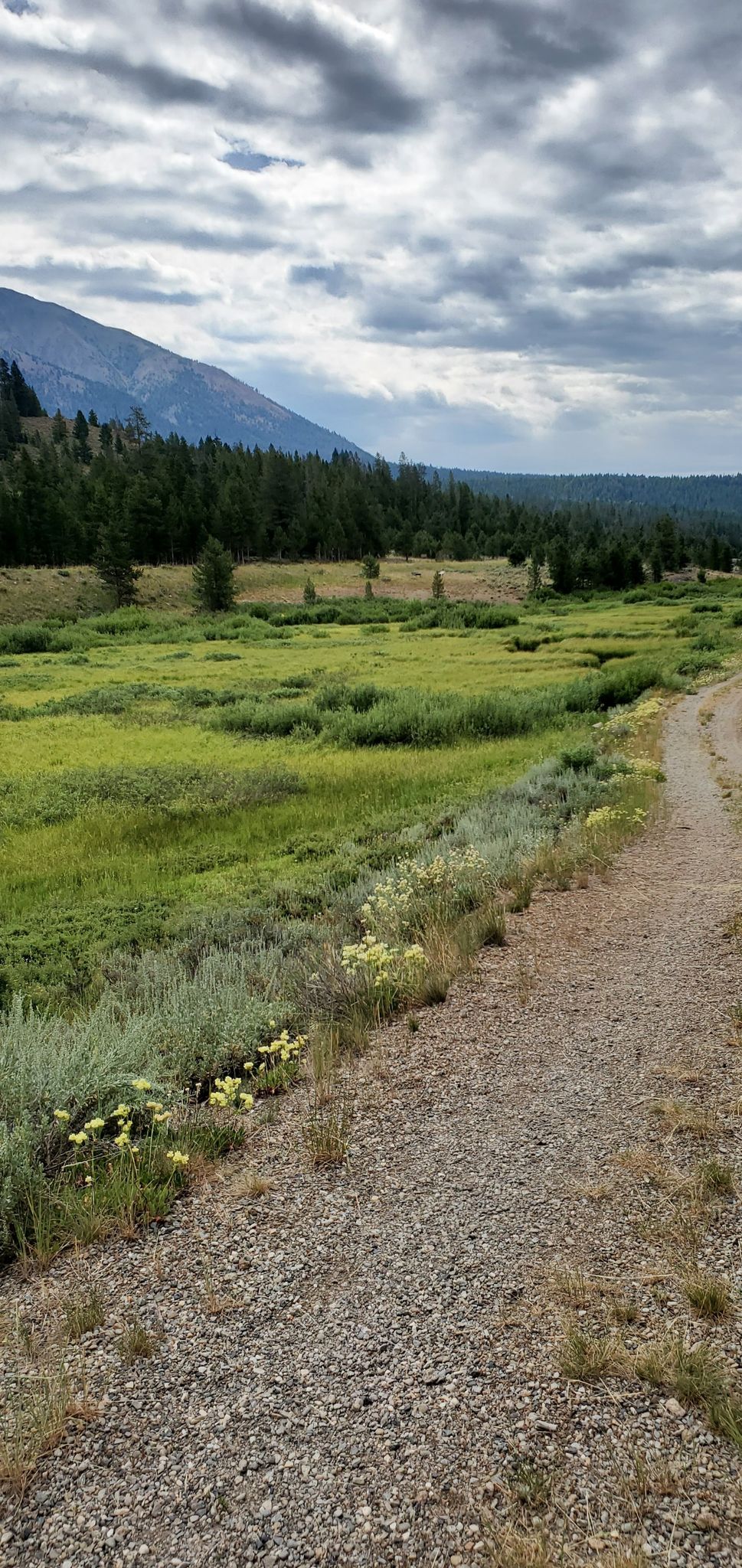 Dirt path borders a vibrant green meadow with distant mountains under cloudy skies. - Harriman Trail