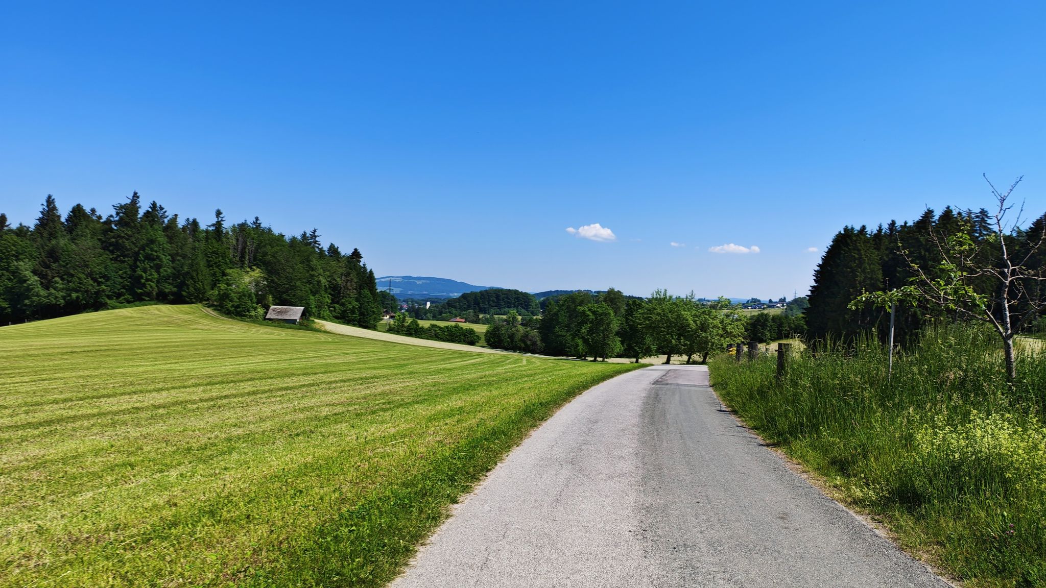 Mozart-Radweg