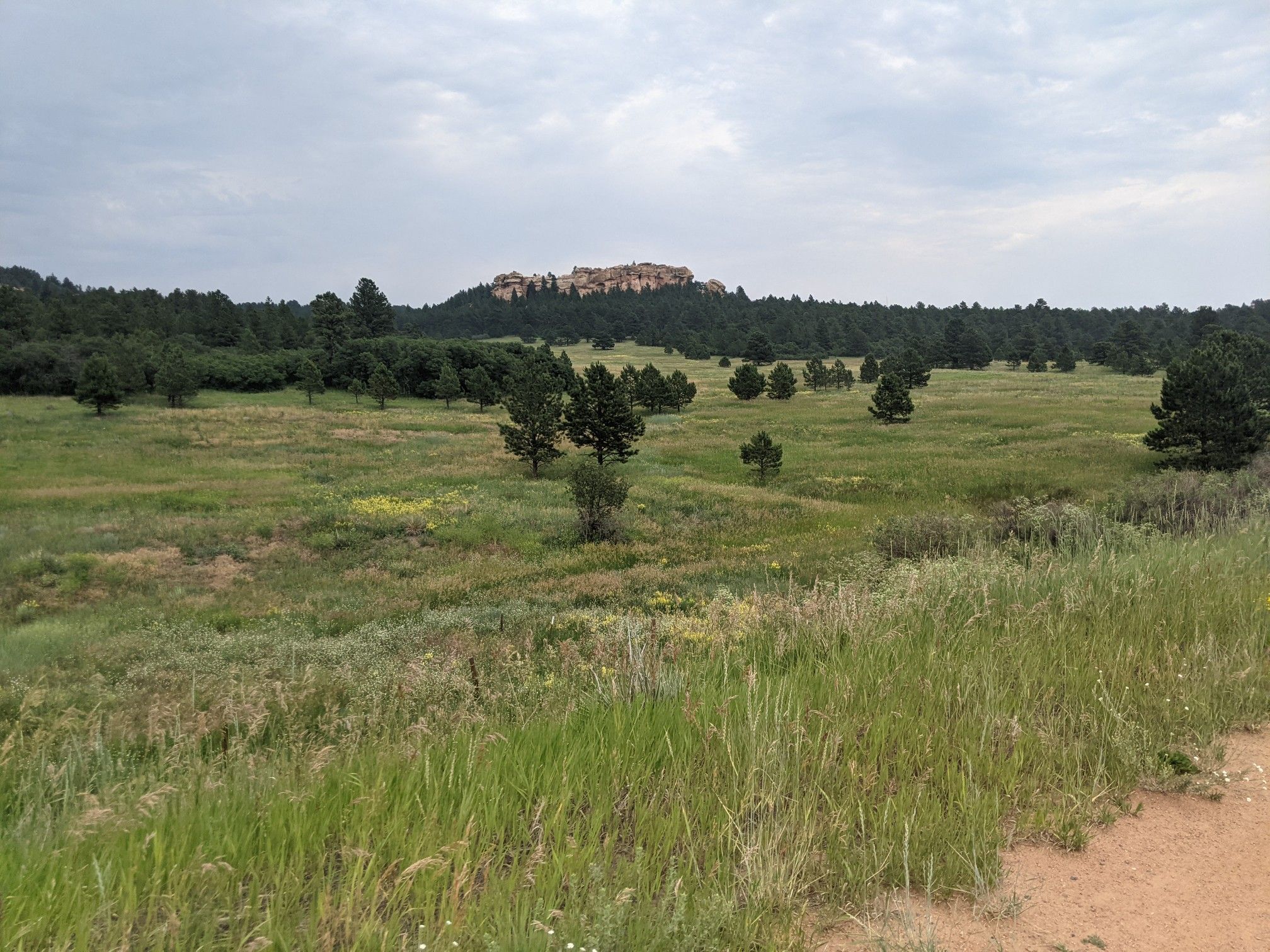 Vast grassy field with scattered trees, a distant mesa, under cloudy skies. - Palmer Lake loop from Gleneagle