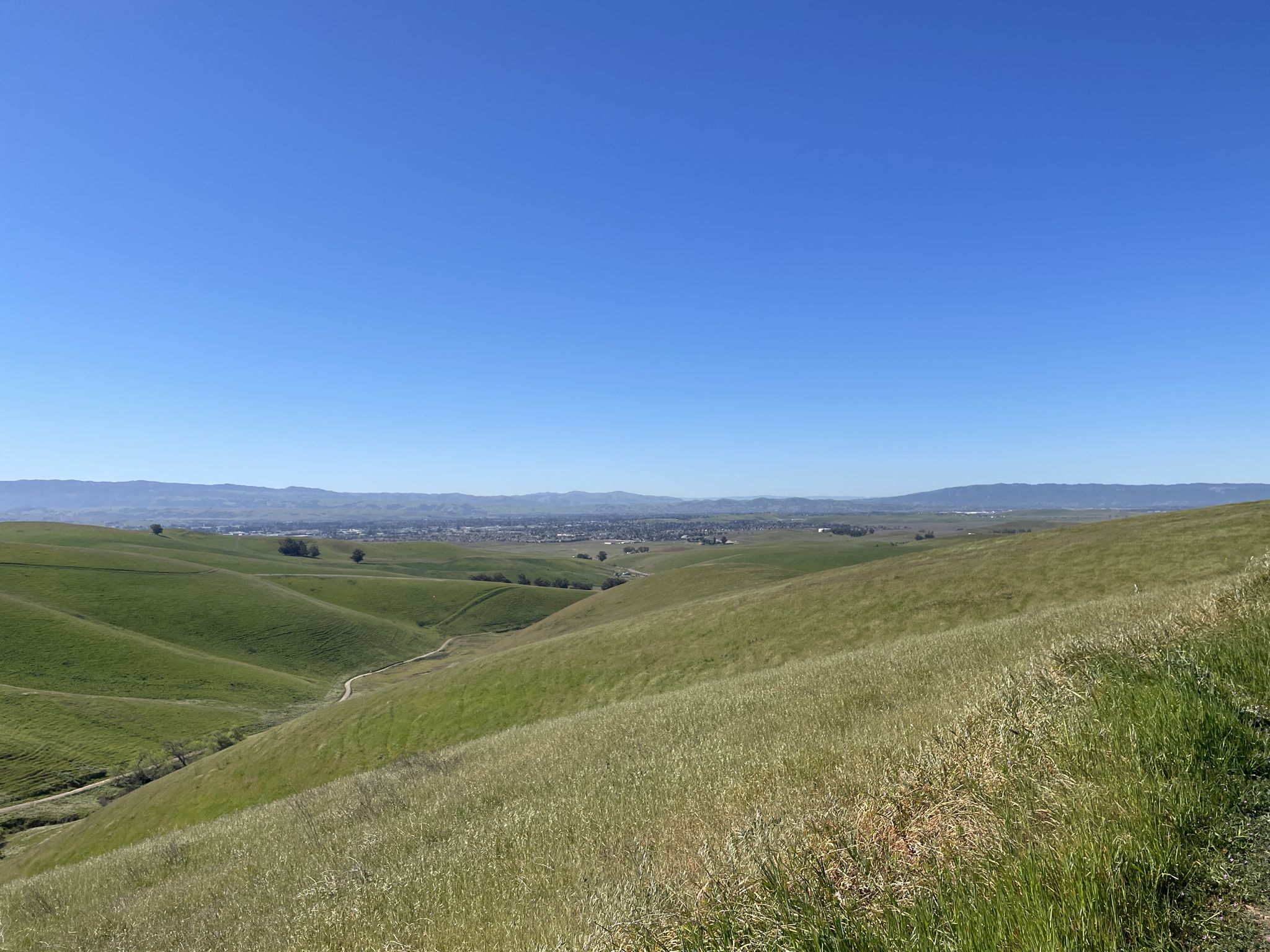 Vast green and golden rolling hills with a distant city under clear blue sky. - Brushy Peak Loop Trail loop from Brushy Peak Regional Park