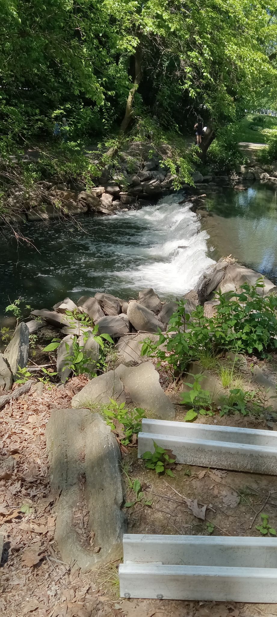 A small waterfall in a rocky river, surrounded by green foliage and steps. - Bronxville Lake loop from Bronxville