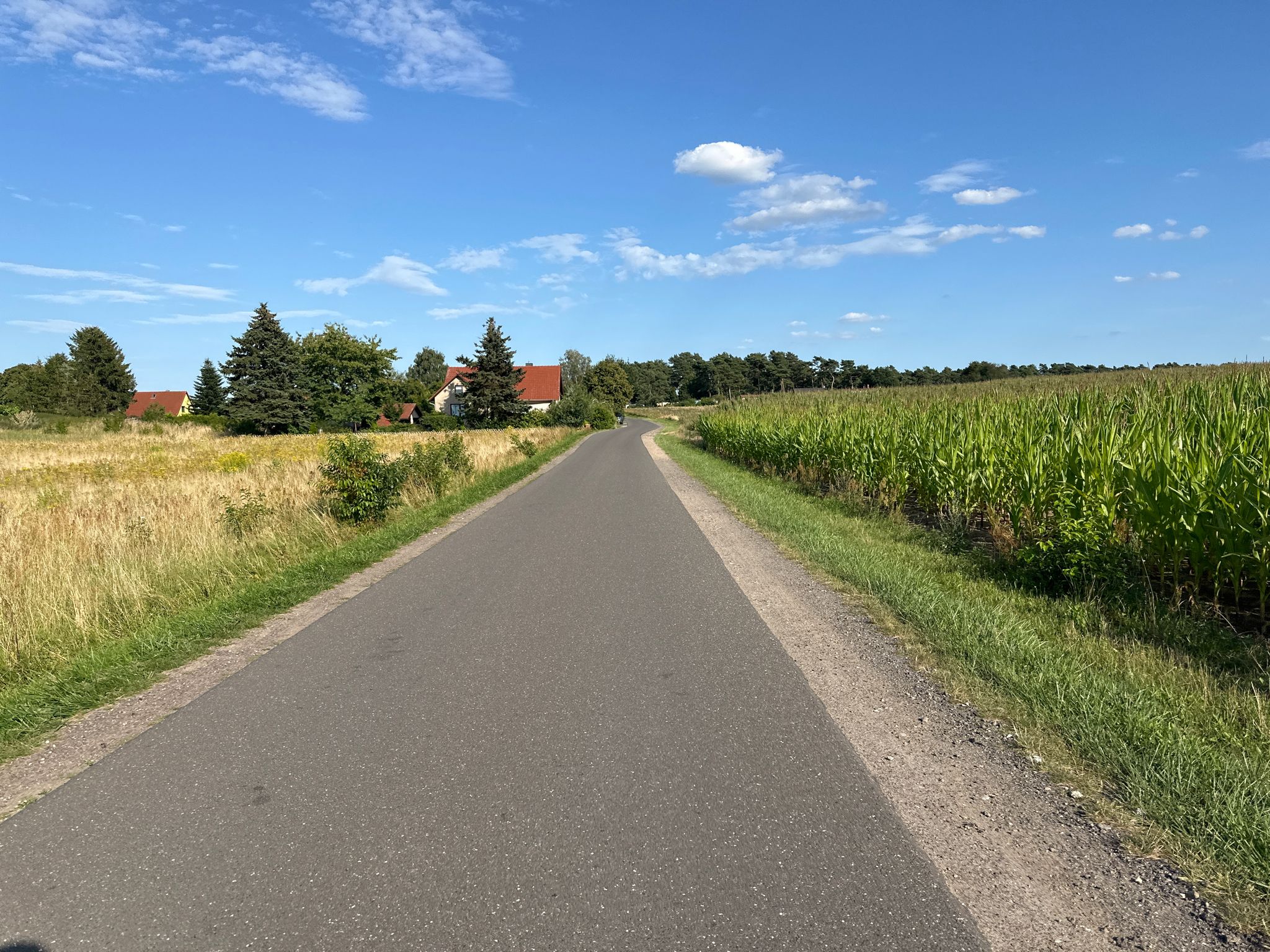 Straße Quetzin nach Seeblick