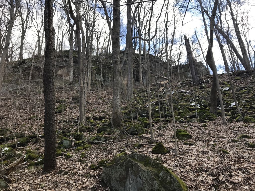 Bare trees on a steep, rocky, moss-covered hillside under bright skies. - Allen Knob Trail