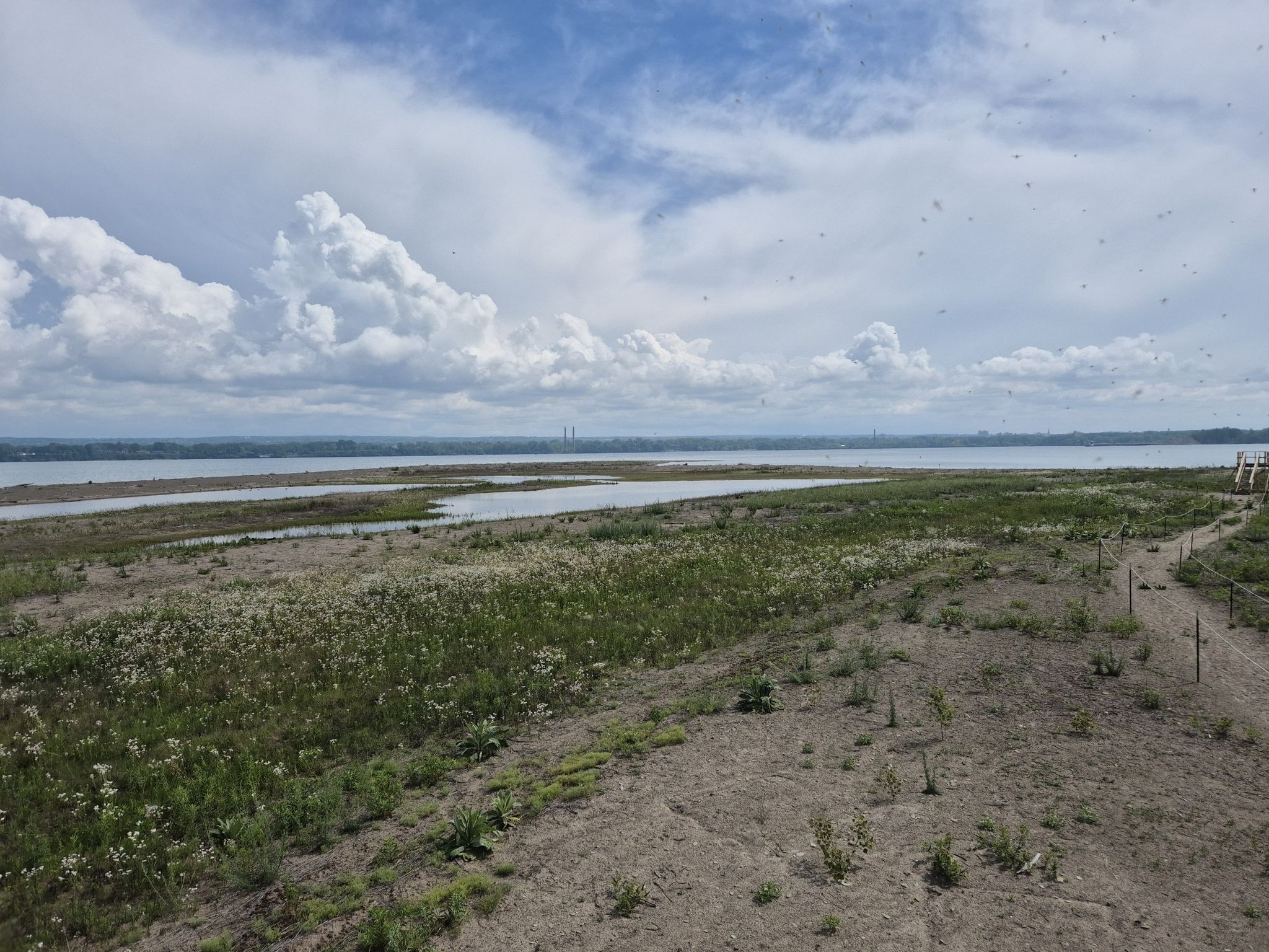 An expansive sandy and grassy landscape borders a wide body of water. - Gull Point Trail