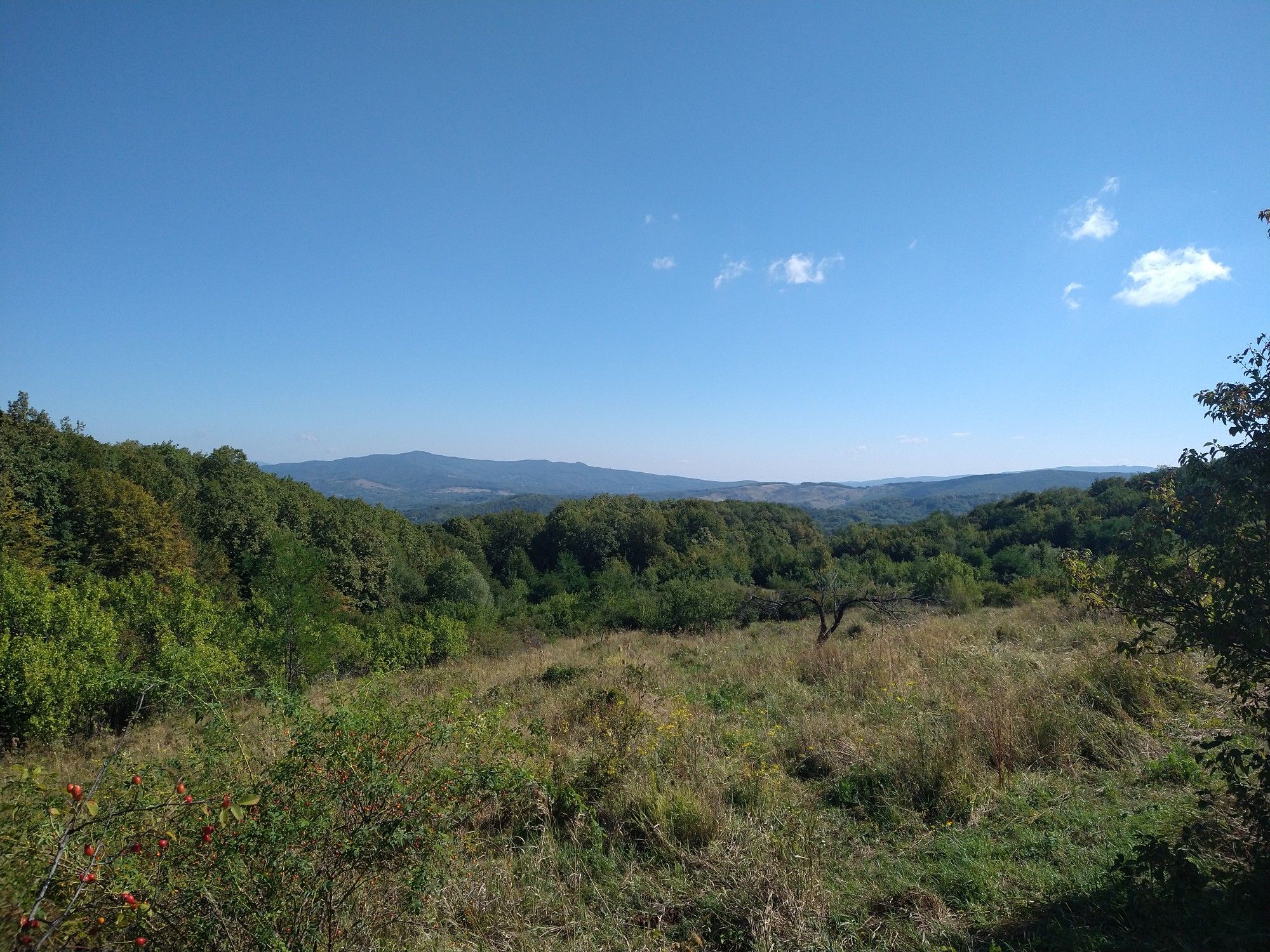 View from the top