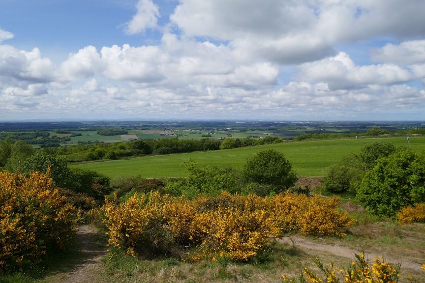 Billinge Hill Panoramic View