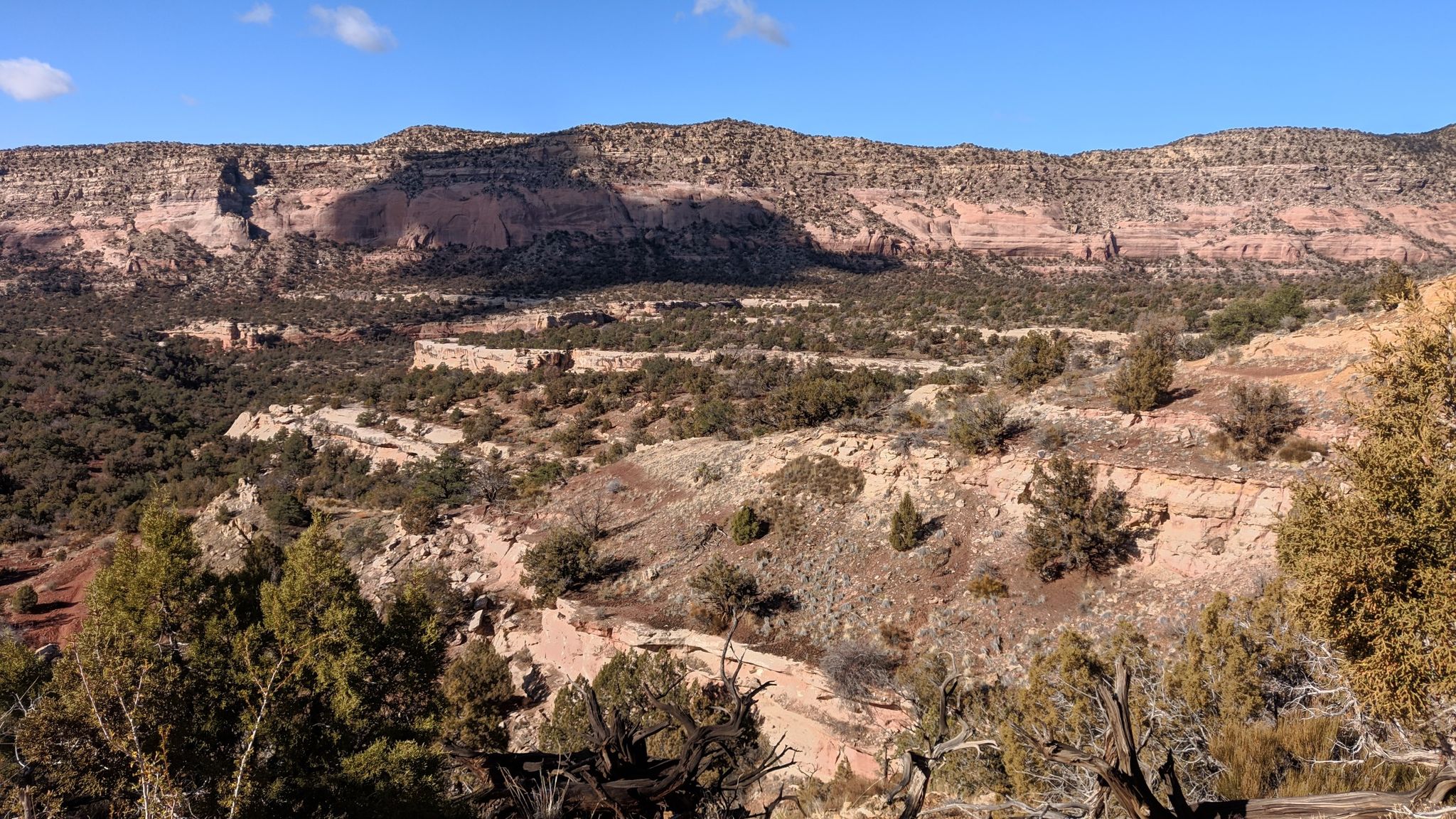 Wide desert canyon with layered rock formations and sparse trees under blue sky. - Rock Creek and East Rock Creek Trail Loop