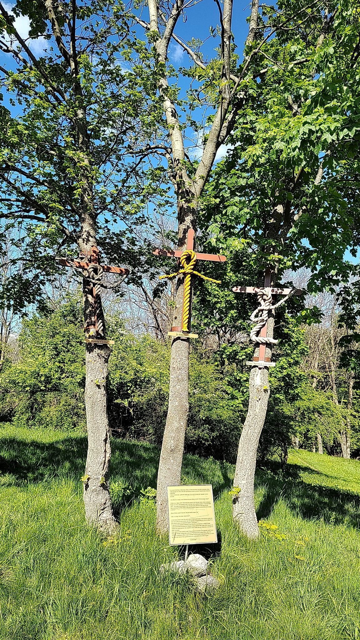 Veľký Tríbeč 830 m.n.m