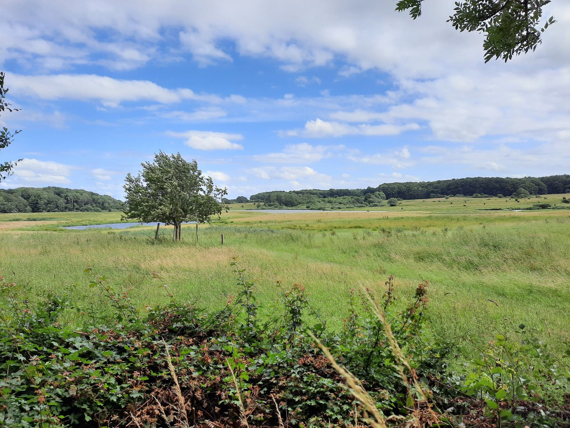 Und noch einen Blick über die Landschaft