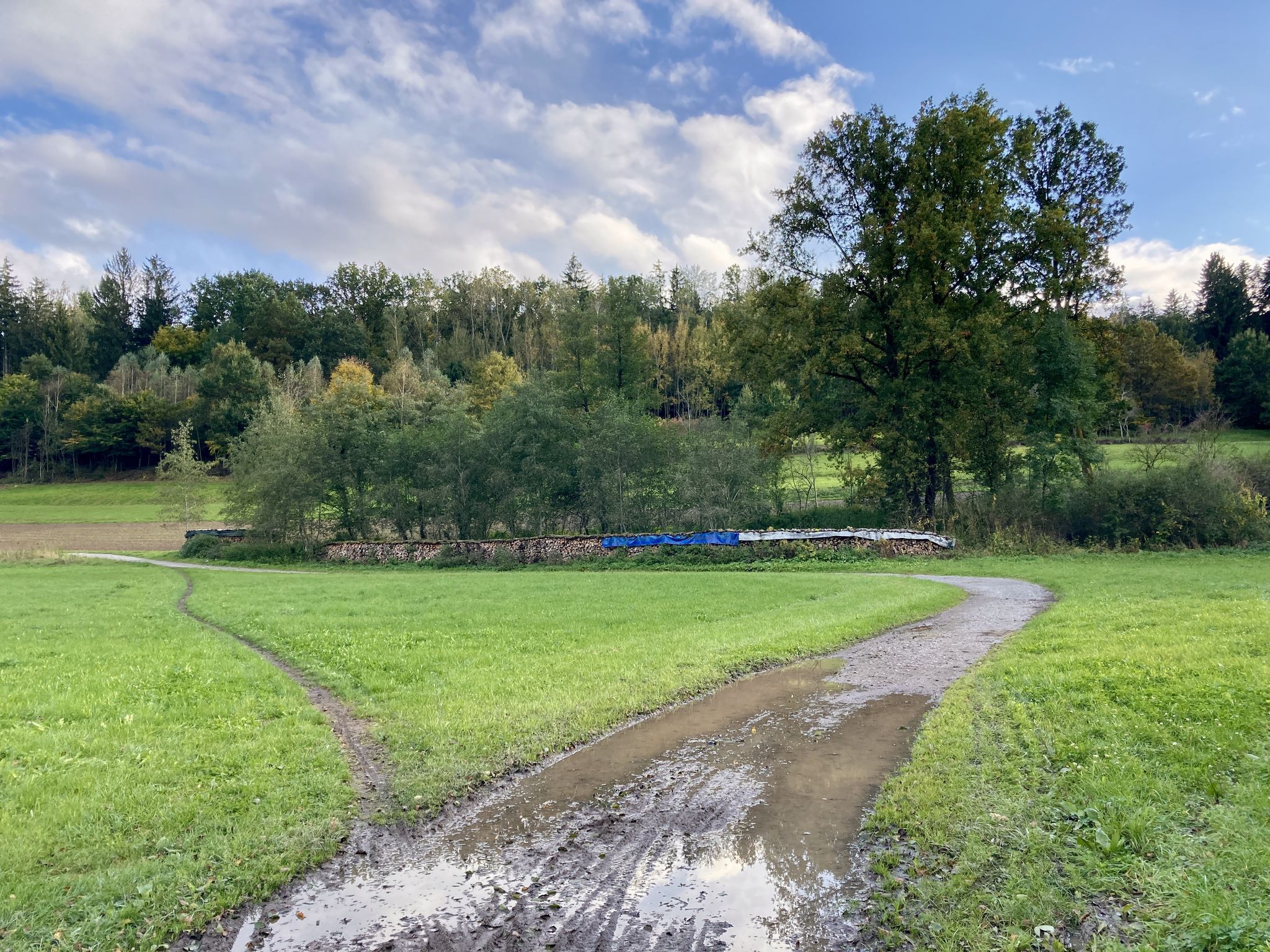 Im Englischen nennt man das einen "Desire Path"