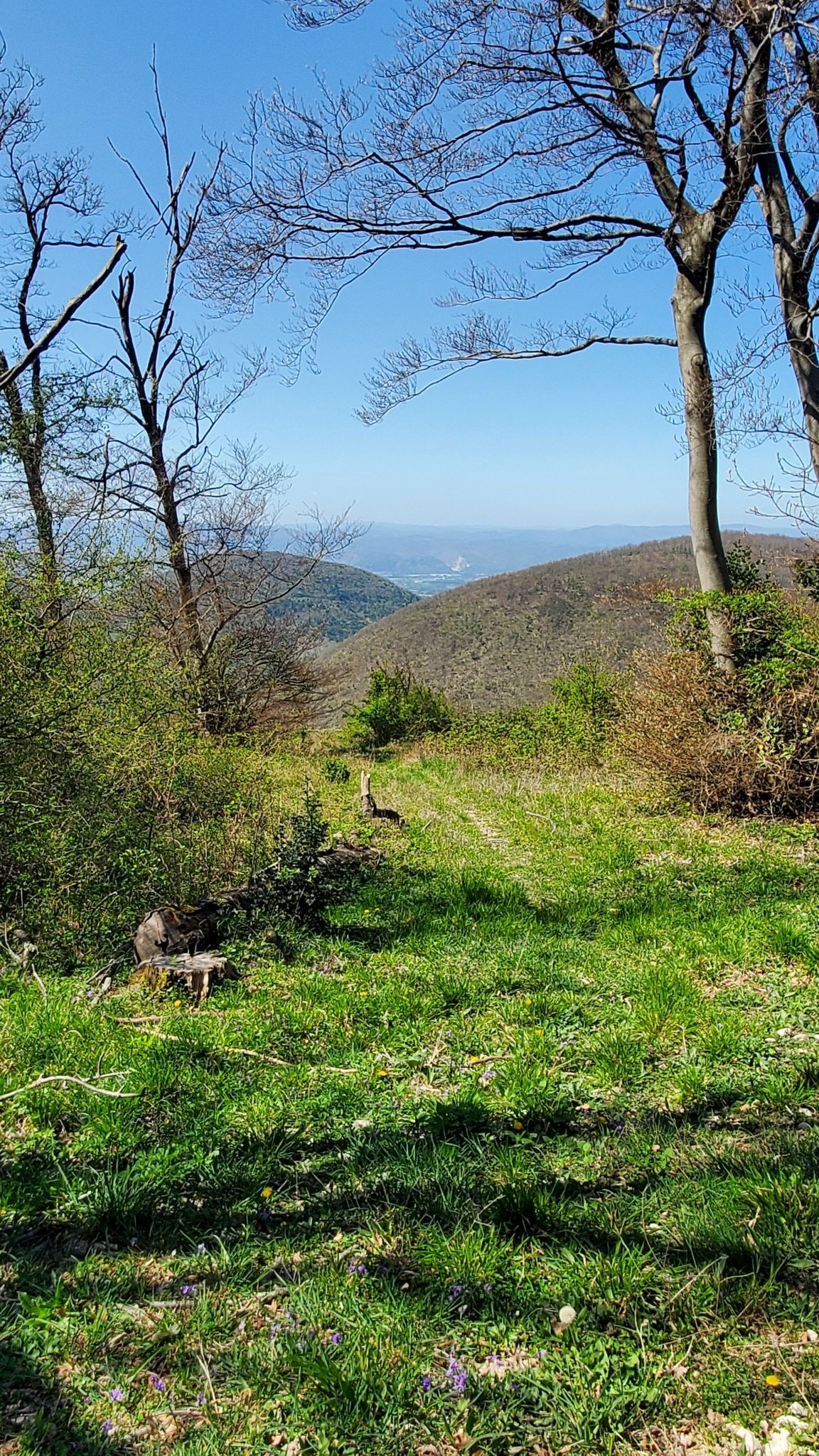 vue sur le Côté Rhone