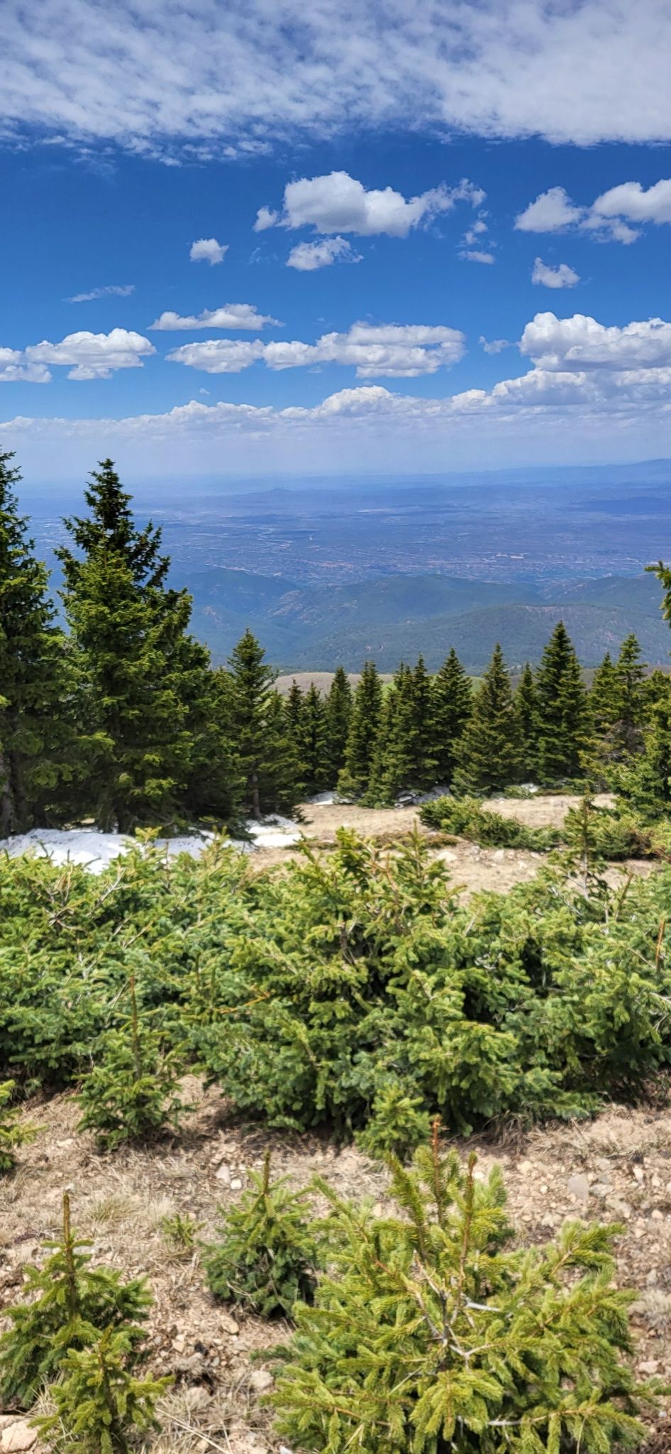 Sunny mountain view with pine trees, green shrubs, snow patches, and distant valley. - Aspen Vista and Alamos Vista loop