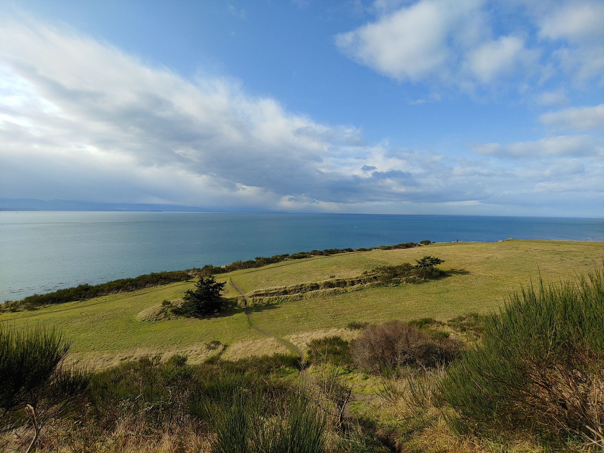 Green coastal fields under a cloudy sky, overlooking a calm blue ocean. - Fort Ebey State Park Loop