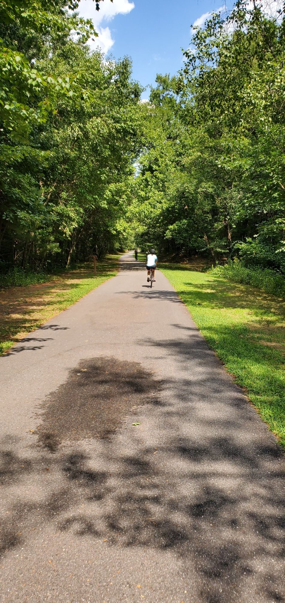 A person cycling on a paved path through a tunnel of green trees. - Nashua River Rail Trail