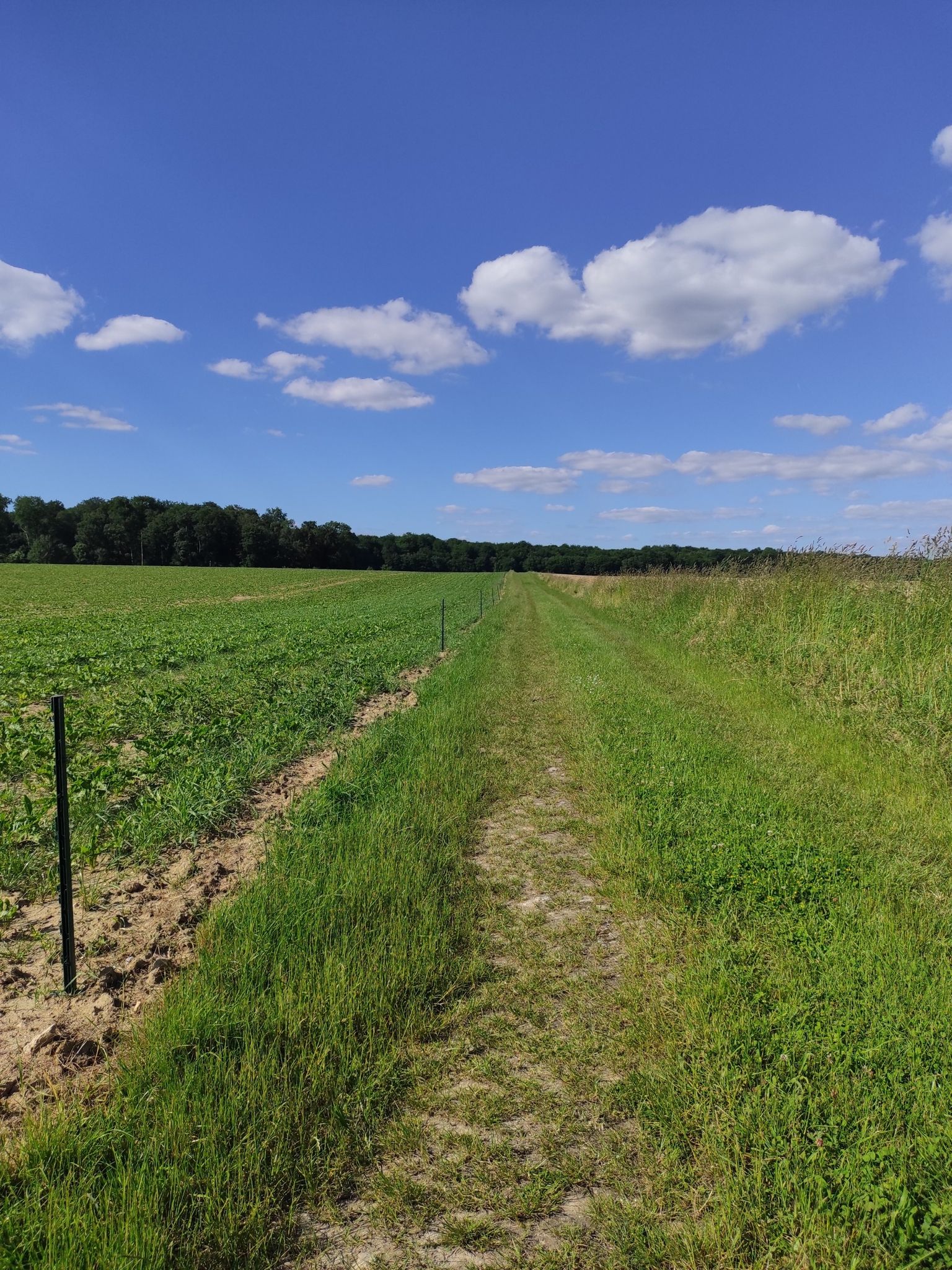chemin rural tranquille