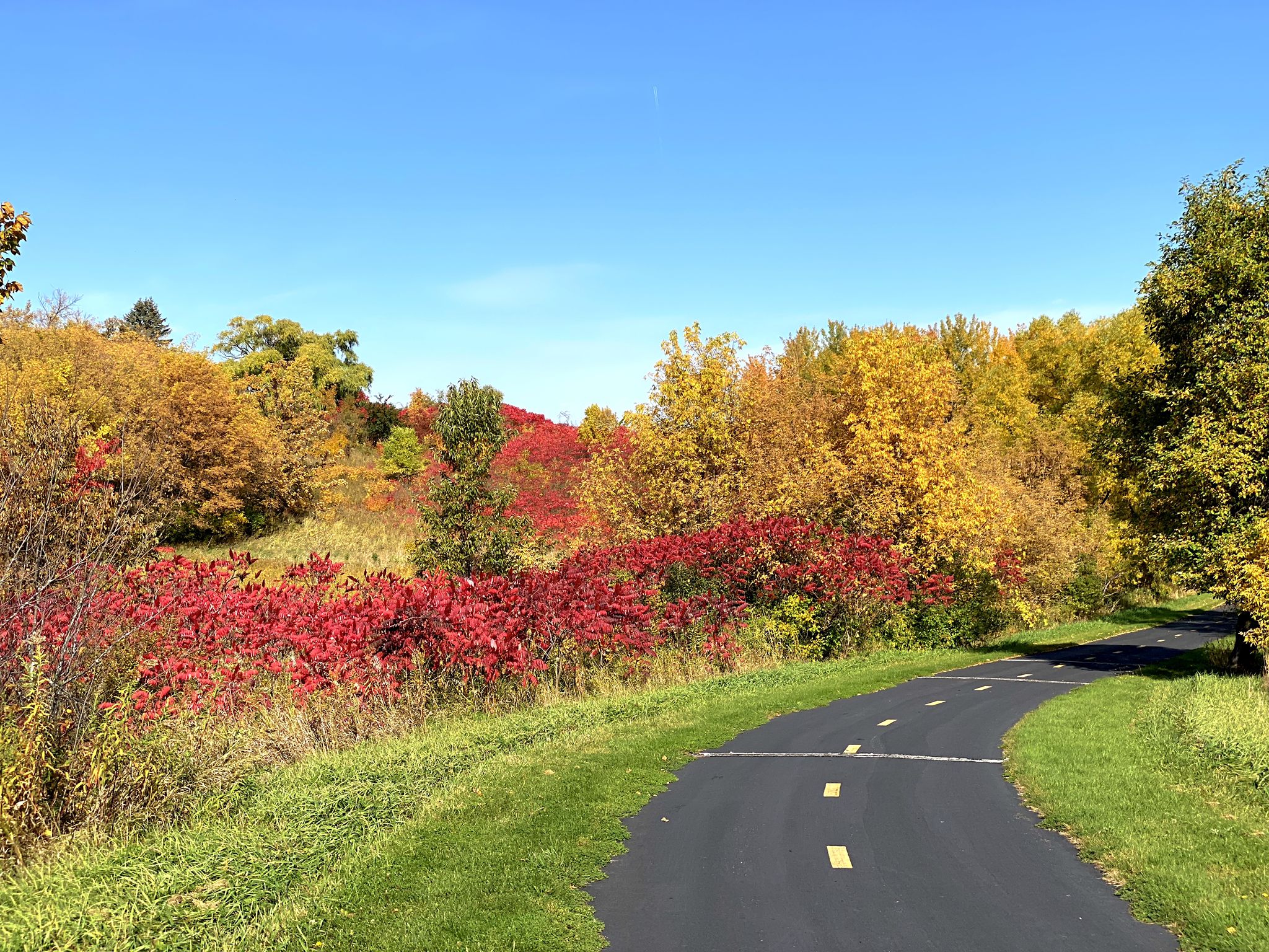 Winding paved path through vibrant red and yellow autumn foliage. - Running loop from Champlin