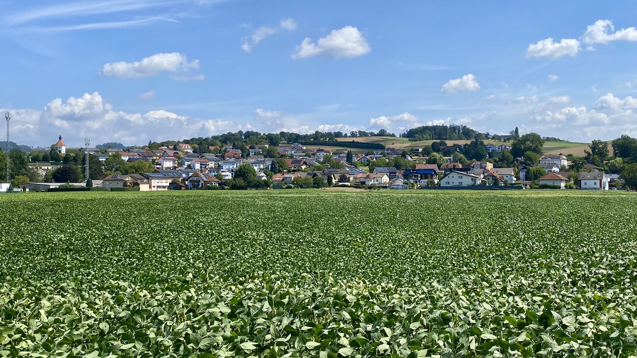 Kalvarien-/Dachsberg