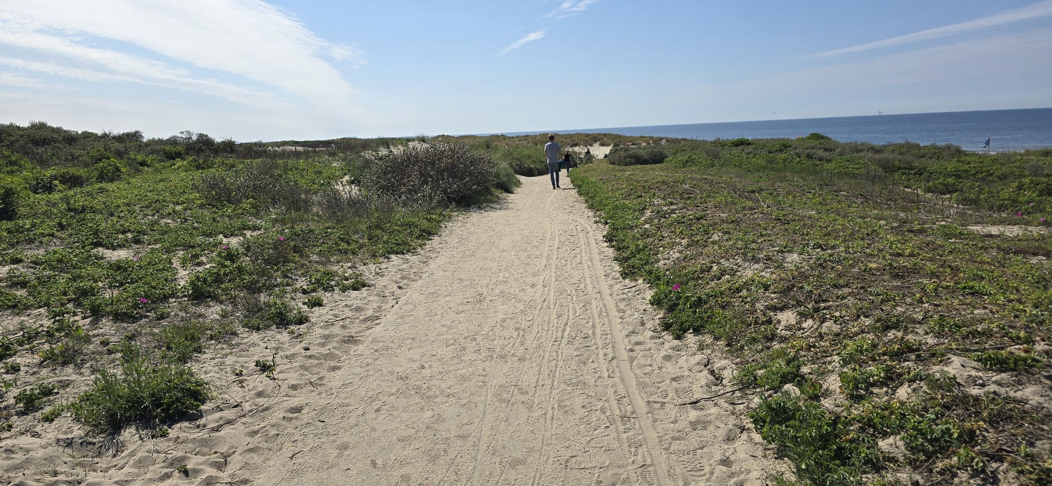schöner Weg durch die Dünen