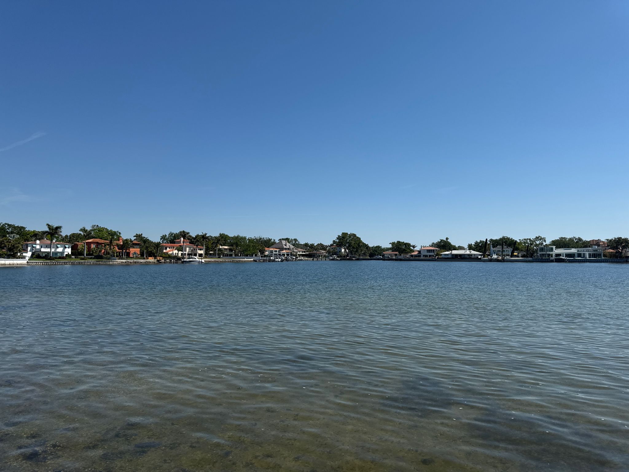 Wide body of water with distant houses and trees under a clear blue sky. - Pinellas Point & Shore Acres loop