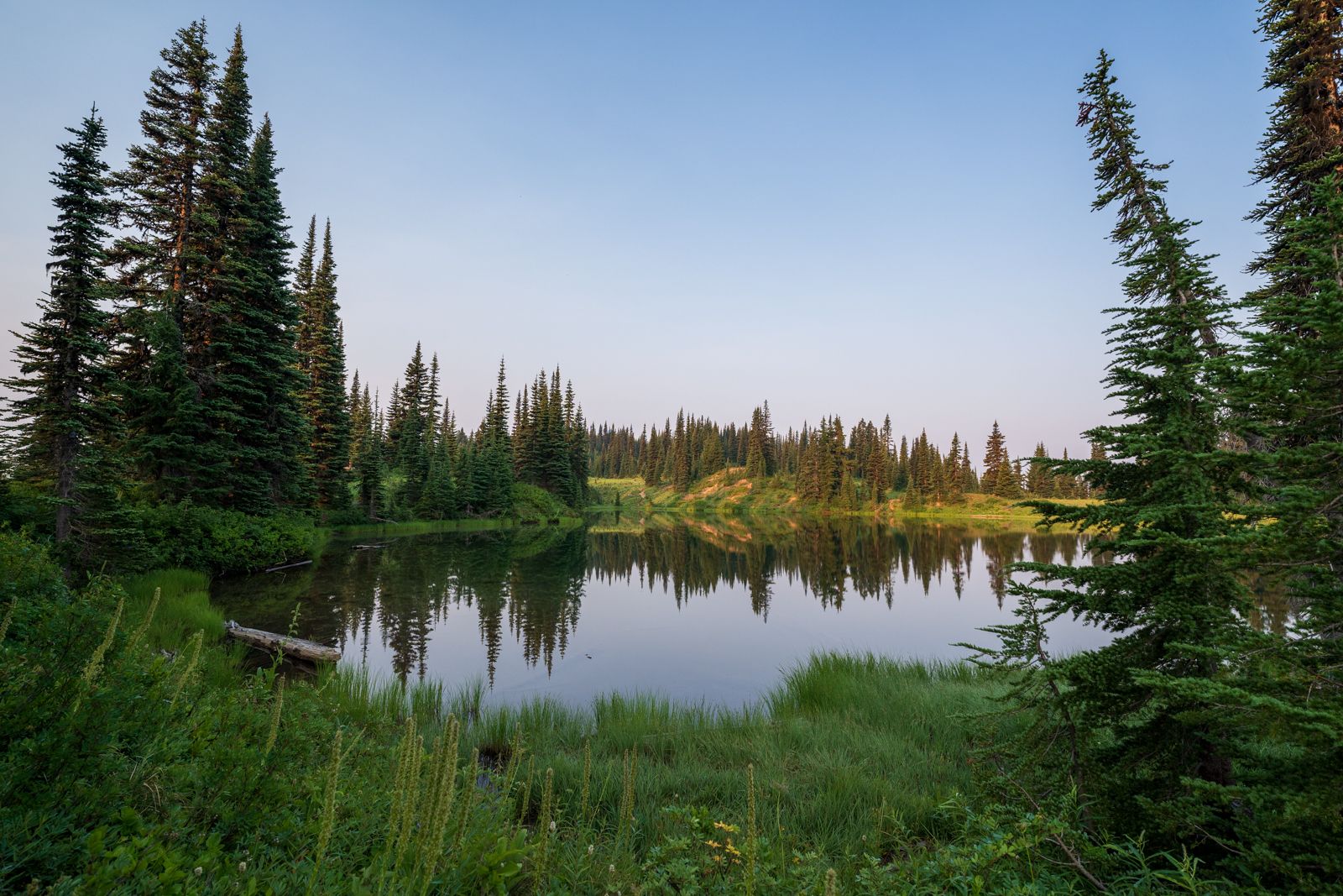 Calm lake reflecting a dense pine forest under soft, even light. - Nannie Ridge, PCT, and Walupt Lake Loop
