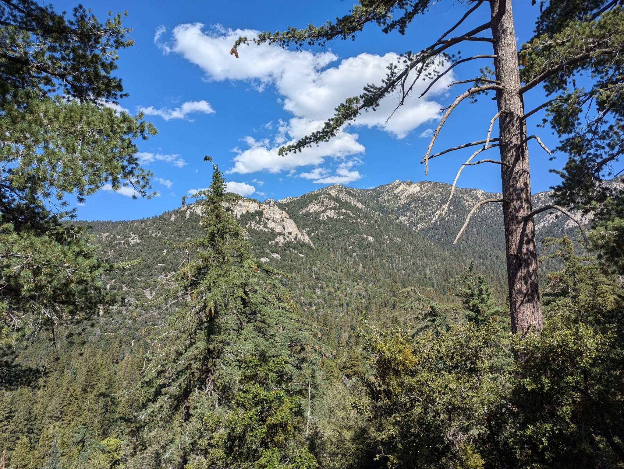 Forested mountains under a bright blue sky with scattered white clouds. - Ernie Maxwell Scenic Trail