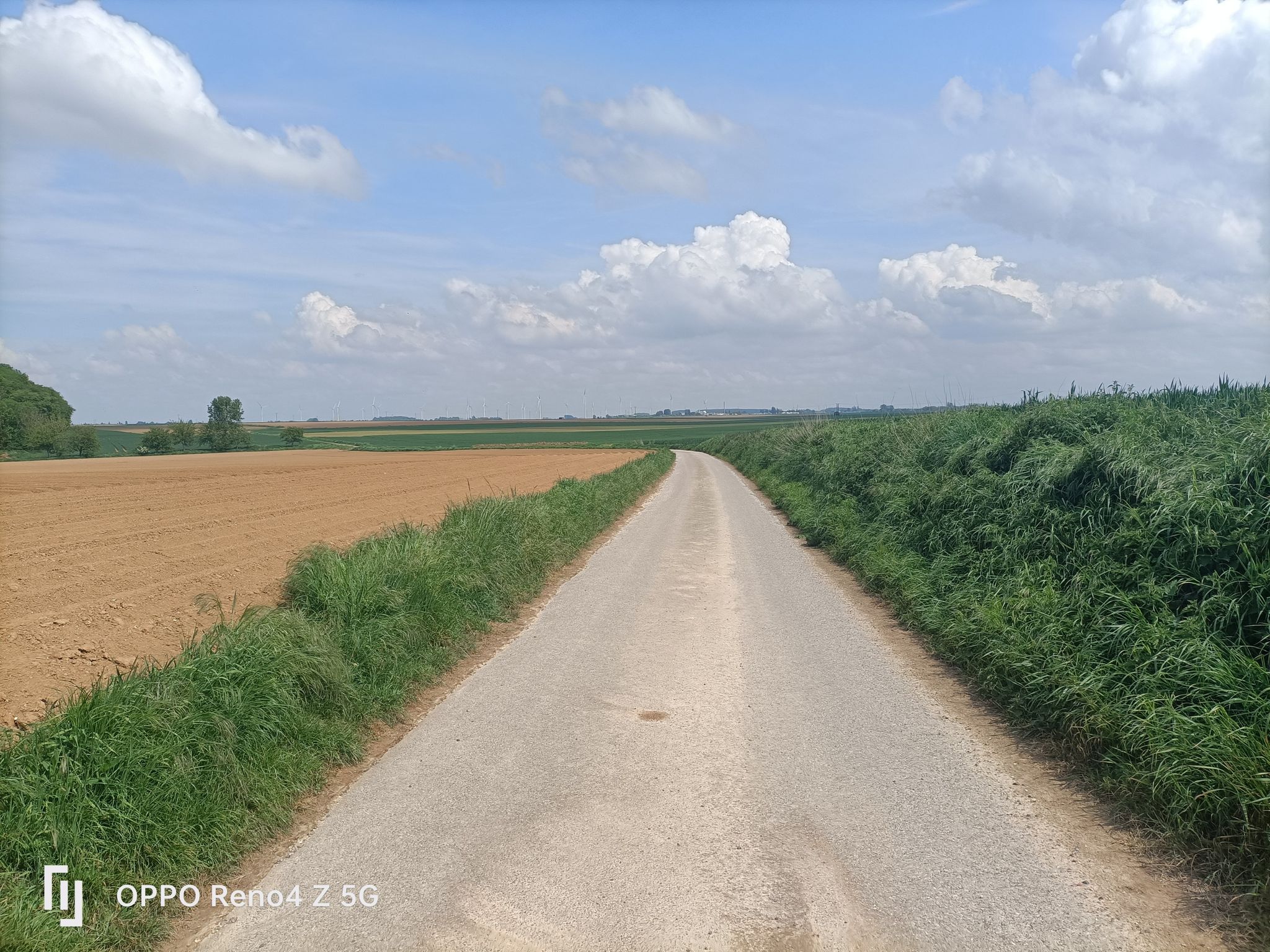 le santerre