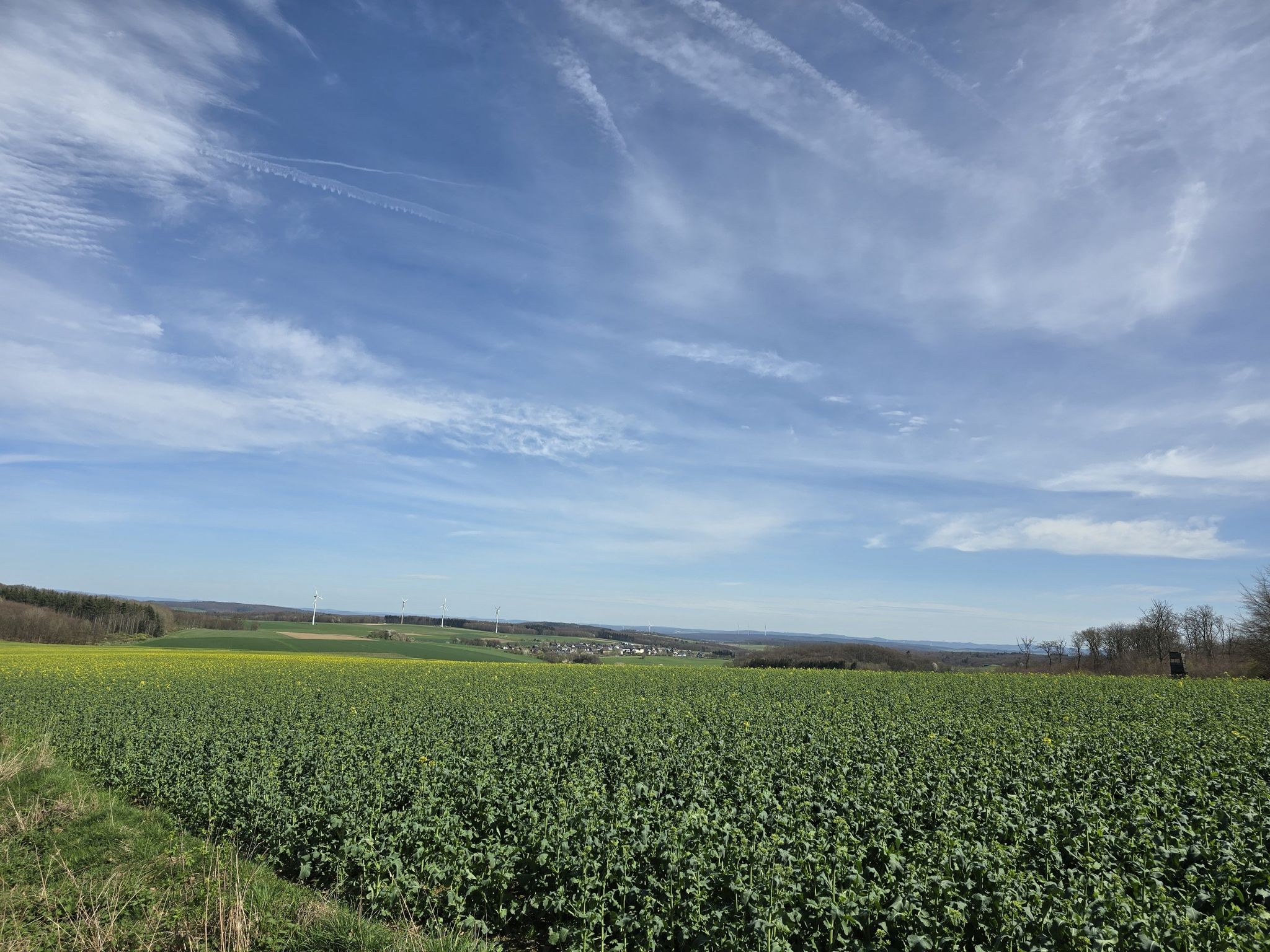 Ausblick