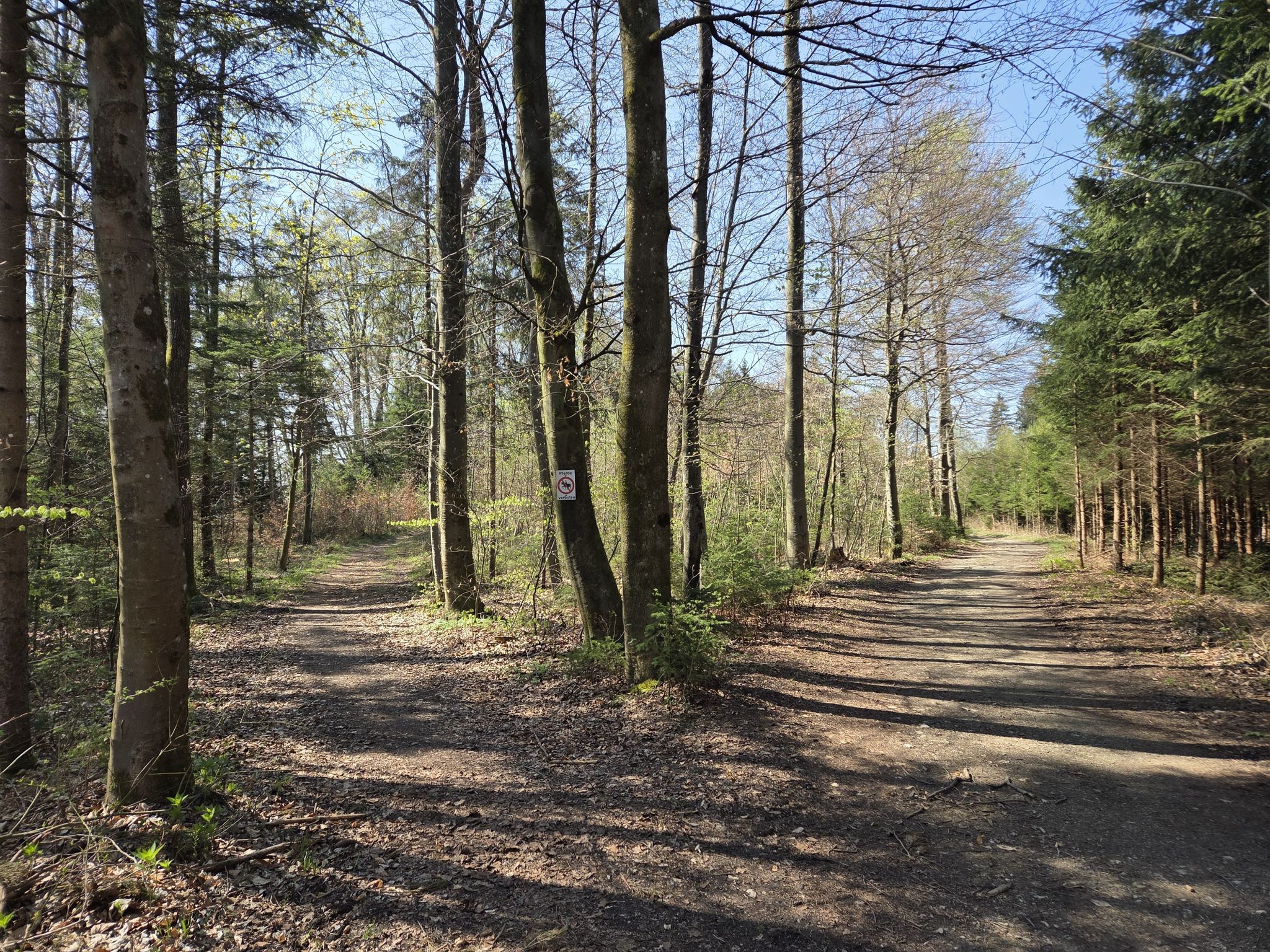 links rein