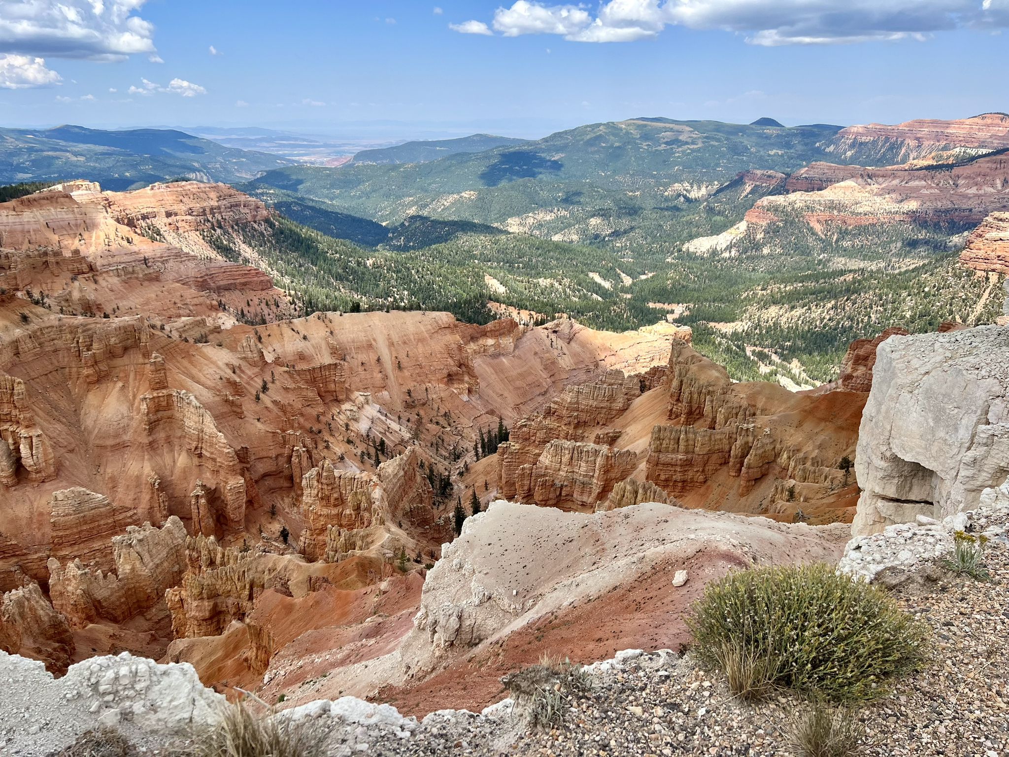Vast canyon landscape with red rock formations, green forests, under a bright sky. - South Rim Trail