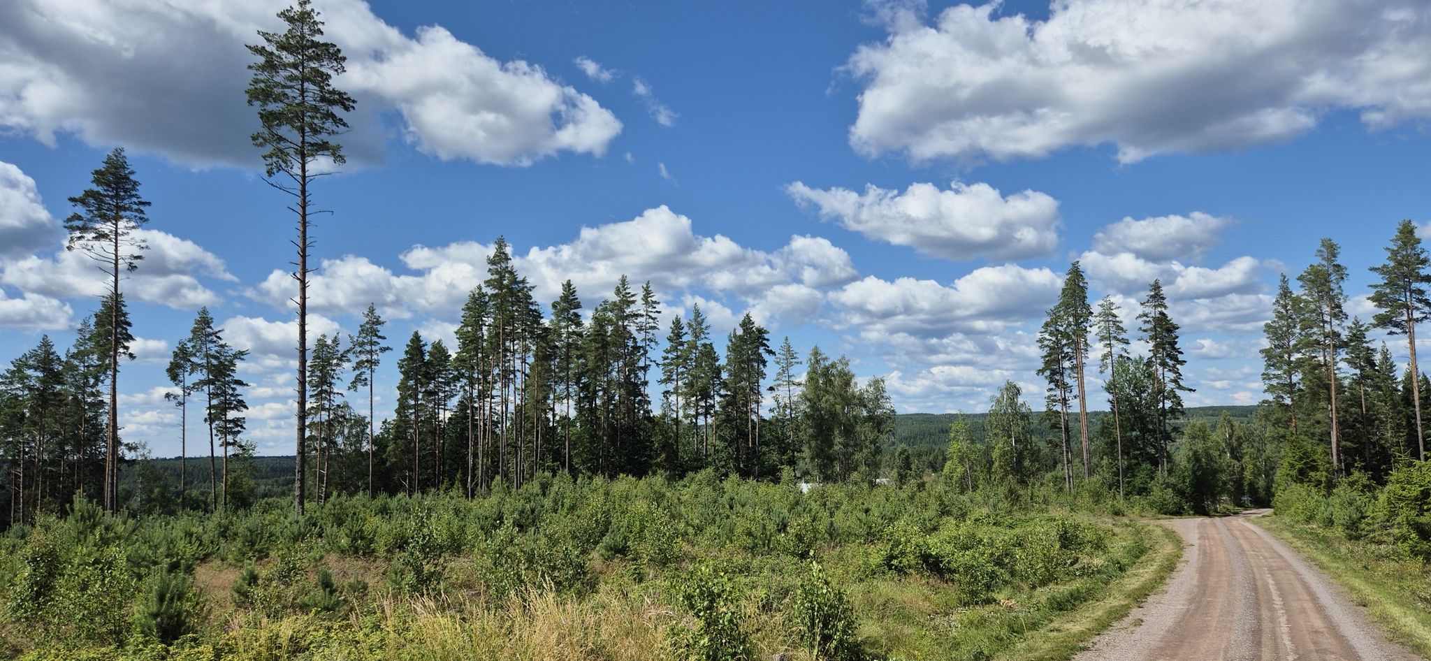Småland ist Heimat von vier Nationalparks, die die Schönheit der Landschaft zeigen: Norra Kvill, Store Mosse, Åsnen und Blå Jungfrun.