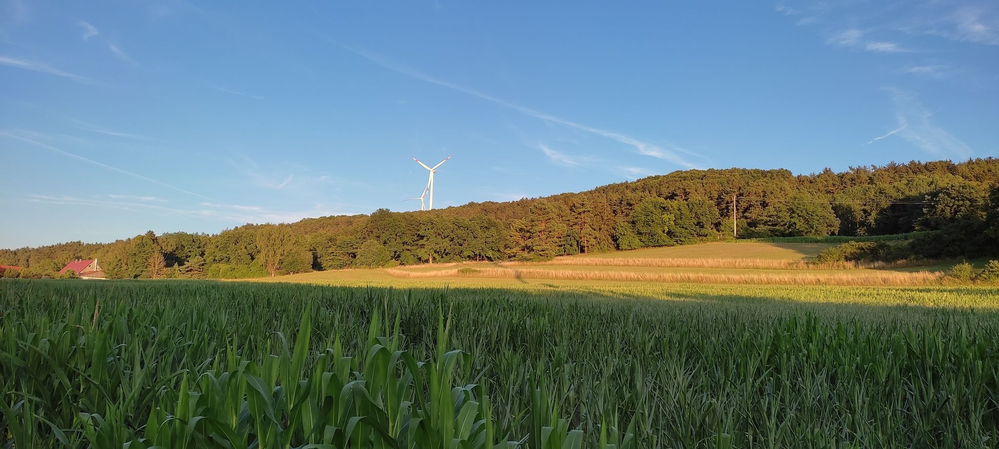 Ausblick bei Sengenthal