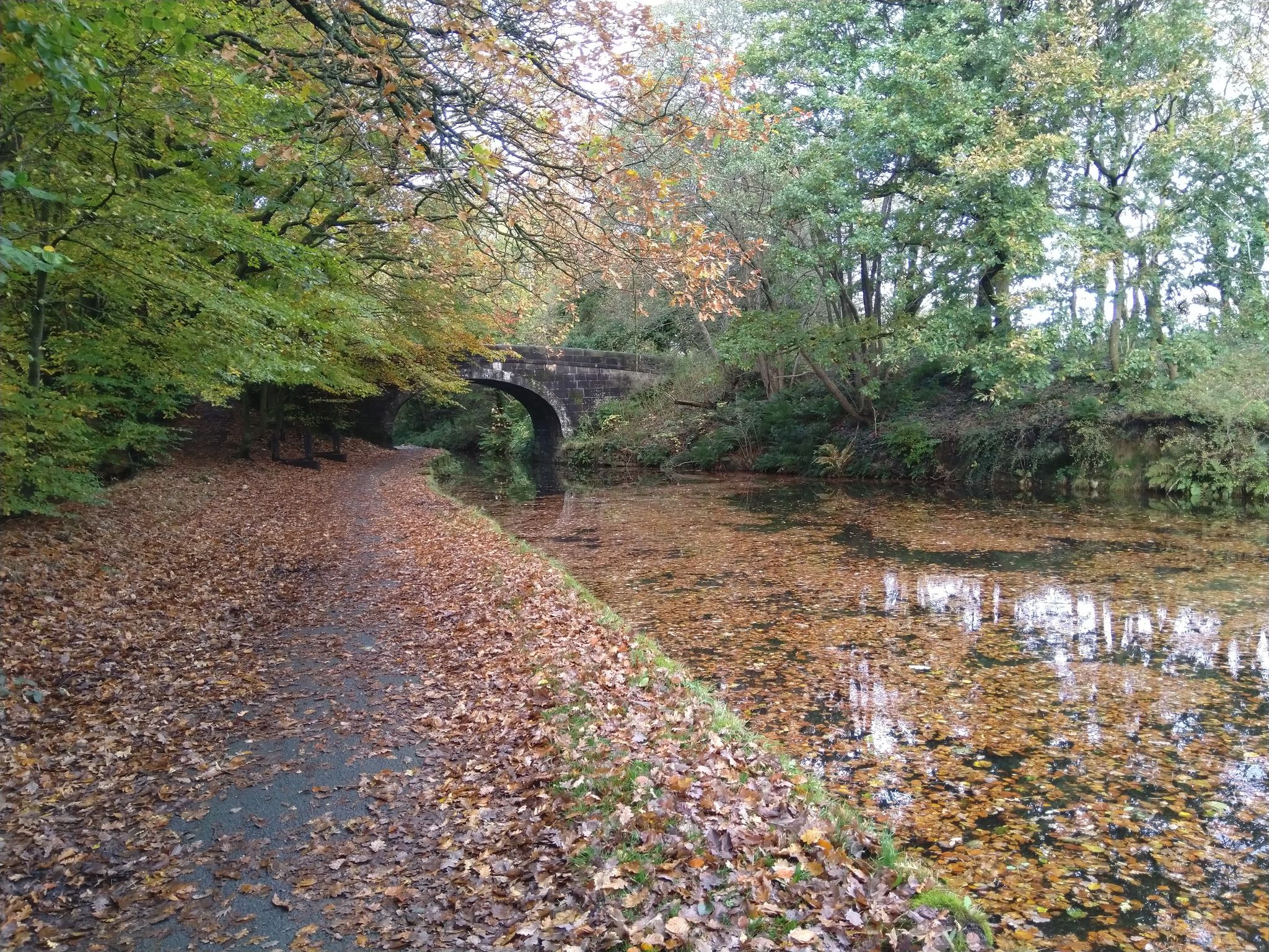 Autumn on the L&L