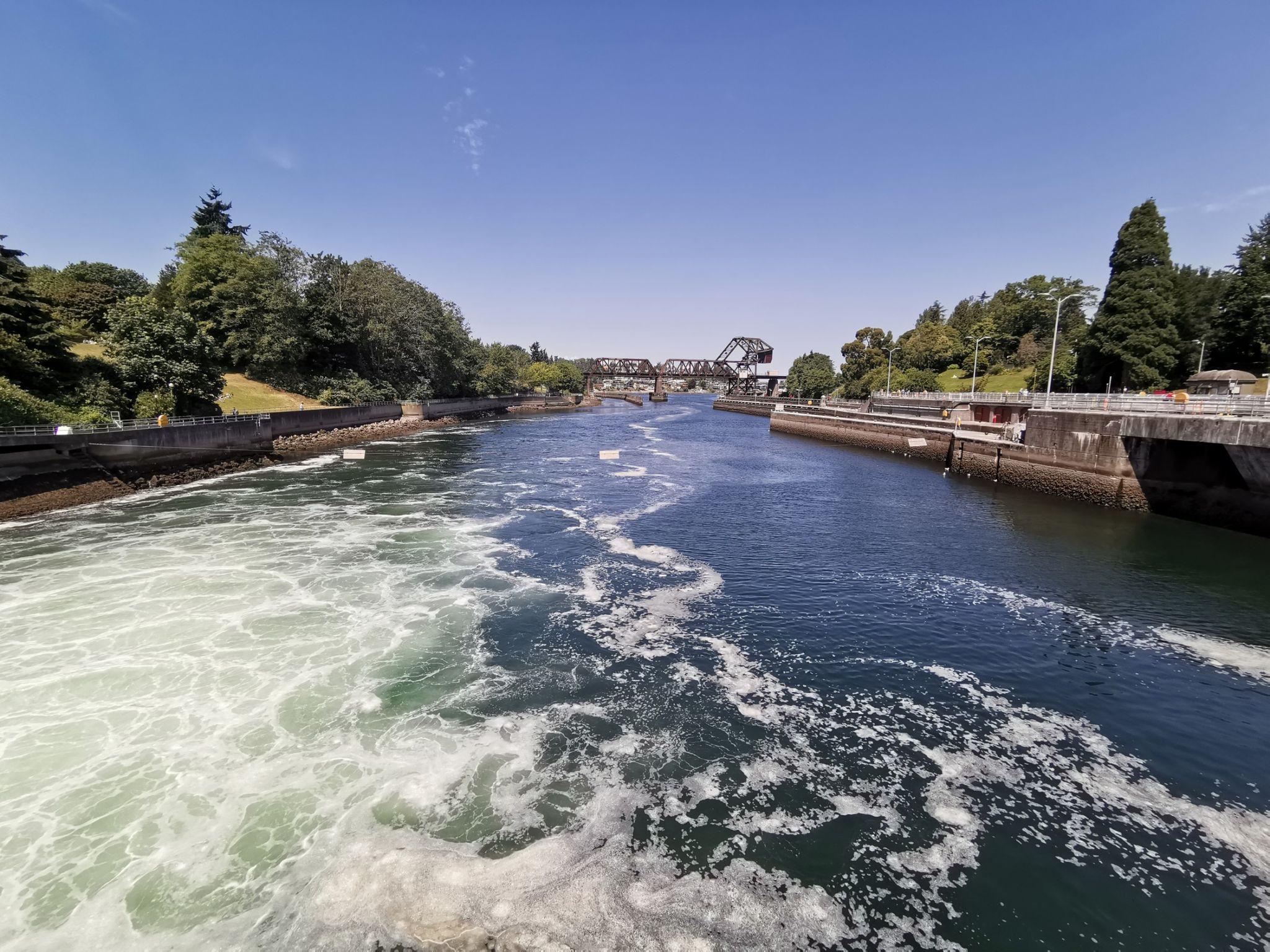 Churning water in a canal with concrete walls and a distant bridge. Sunny day. - Salmon Life Cycle Sculpture – West Point Lighthouse loop from Magnolia