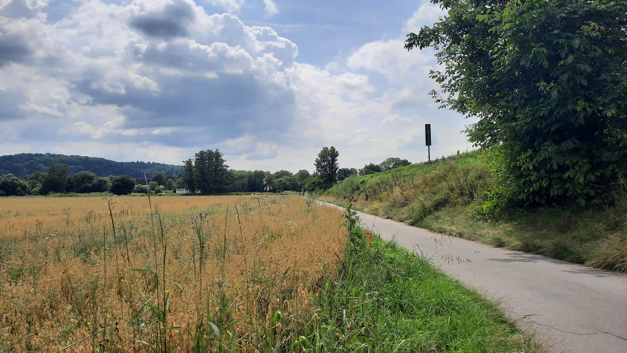 Im Bodenfeld - Radweg am Haferfeld