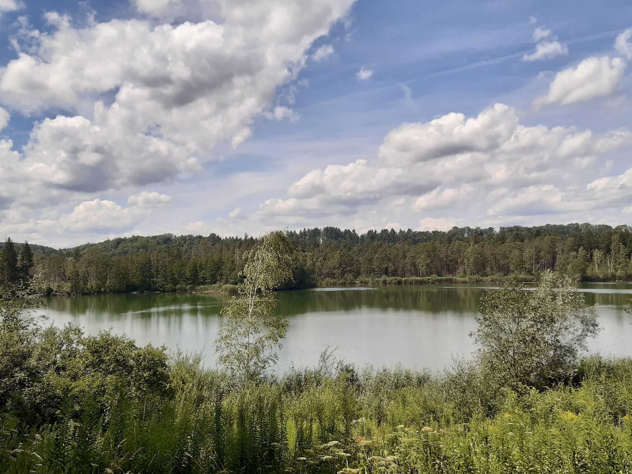 Natursee Ummendorf!!!