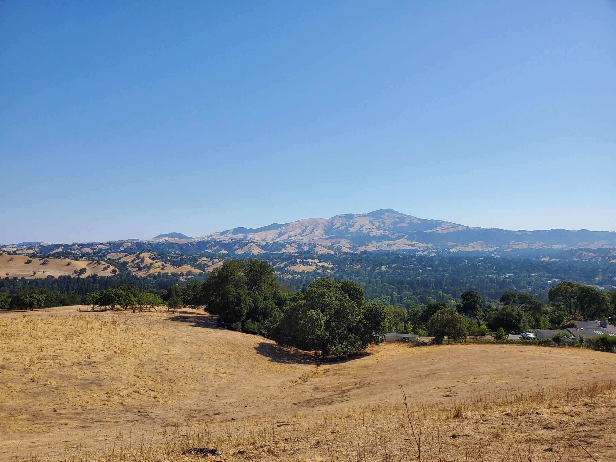 Expansive view of golden hills, a green valley, and a large mountain under clear skies. - Del Amigo, Virgil Williams, and Madrone Trail Loop