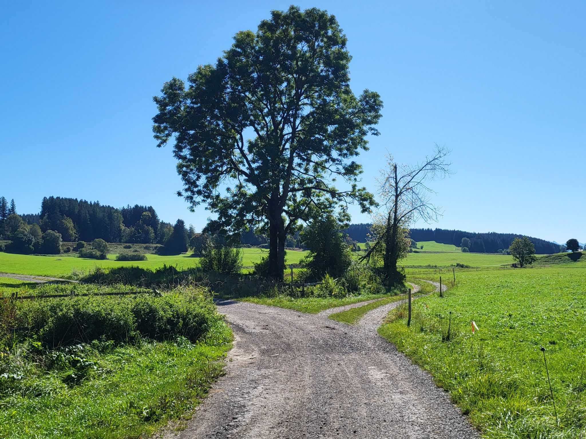noch ein bischen Schotter radeln 😁🚴‍♀️