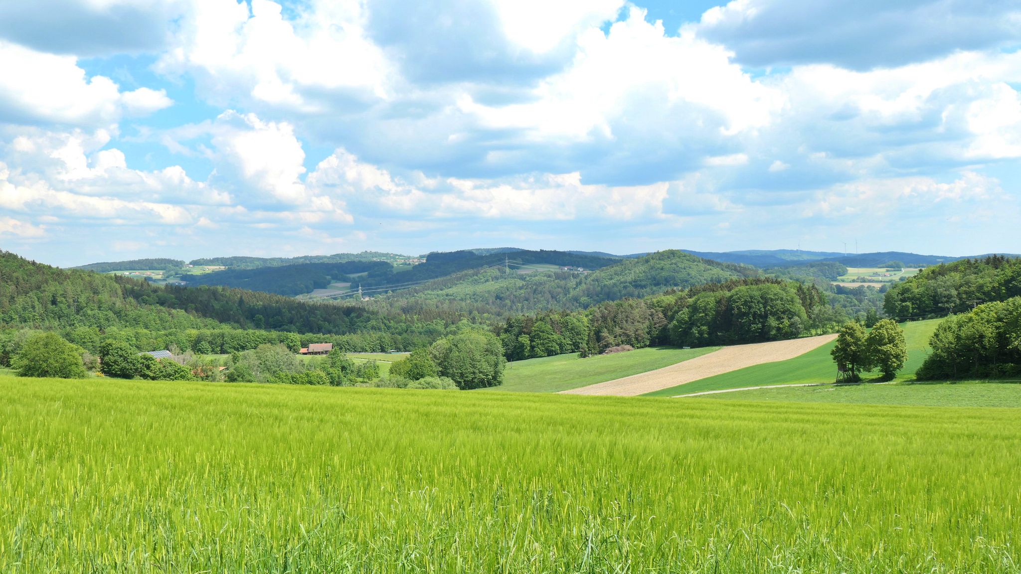 Panoramablick bei Frauenzell