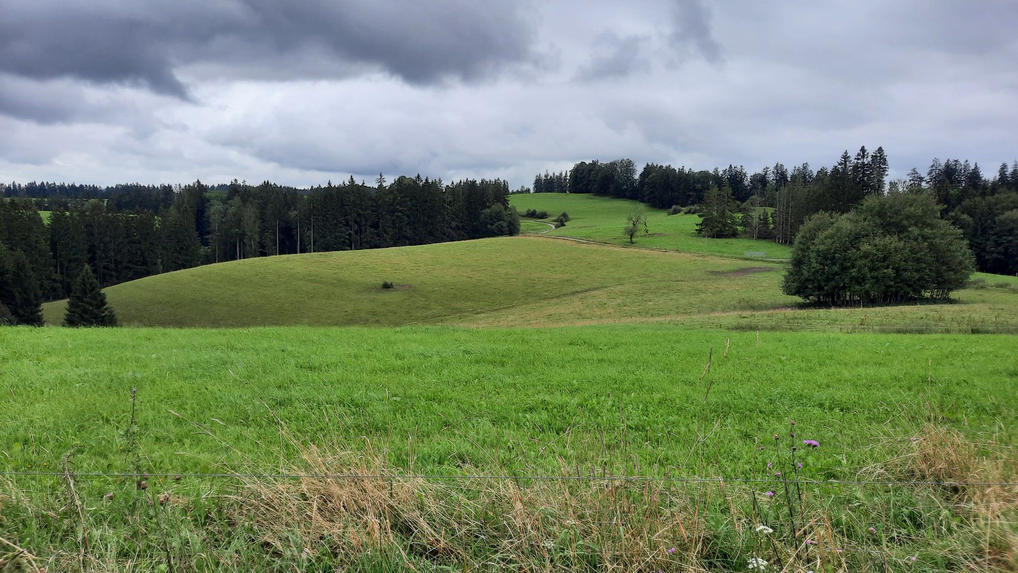 Alpe Herrenberg