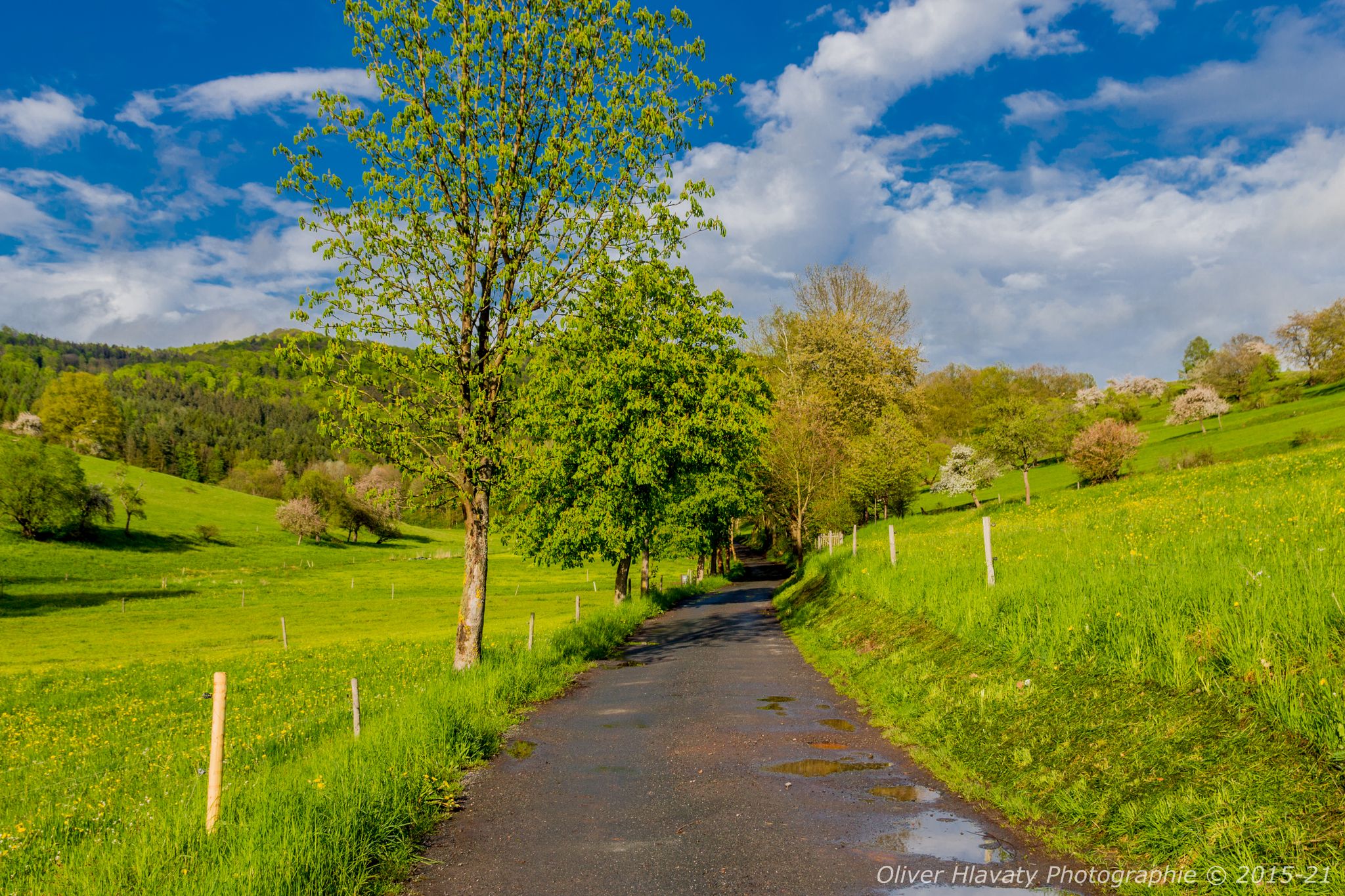 © 2015-21 | Oliver Hlavaty Photographie
